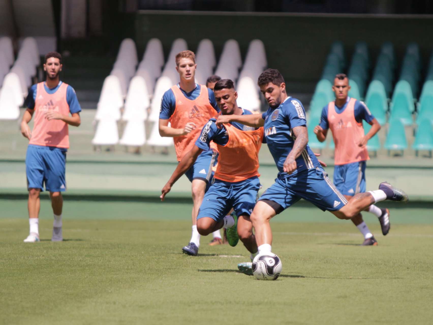 Preparado