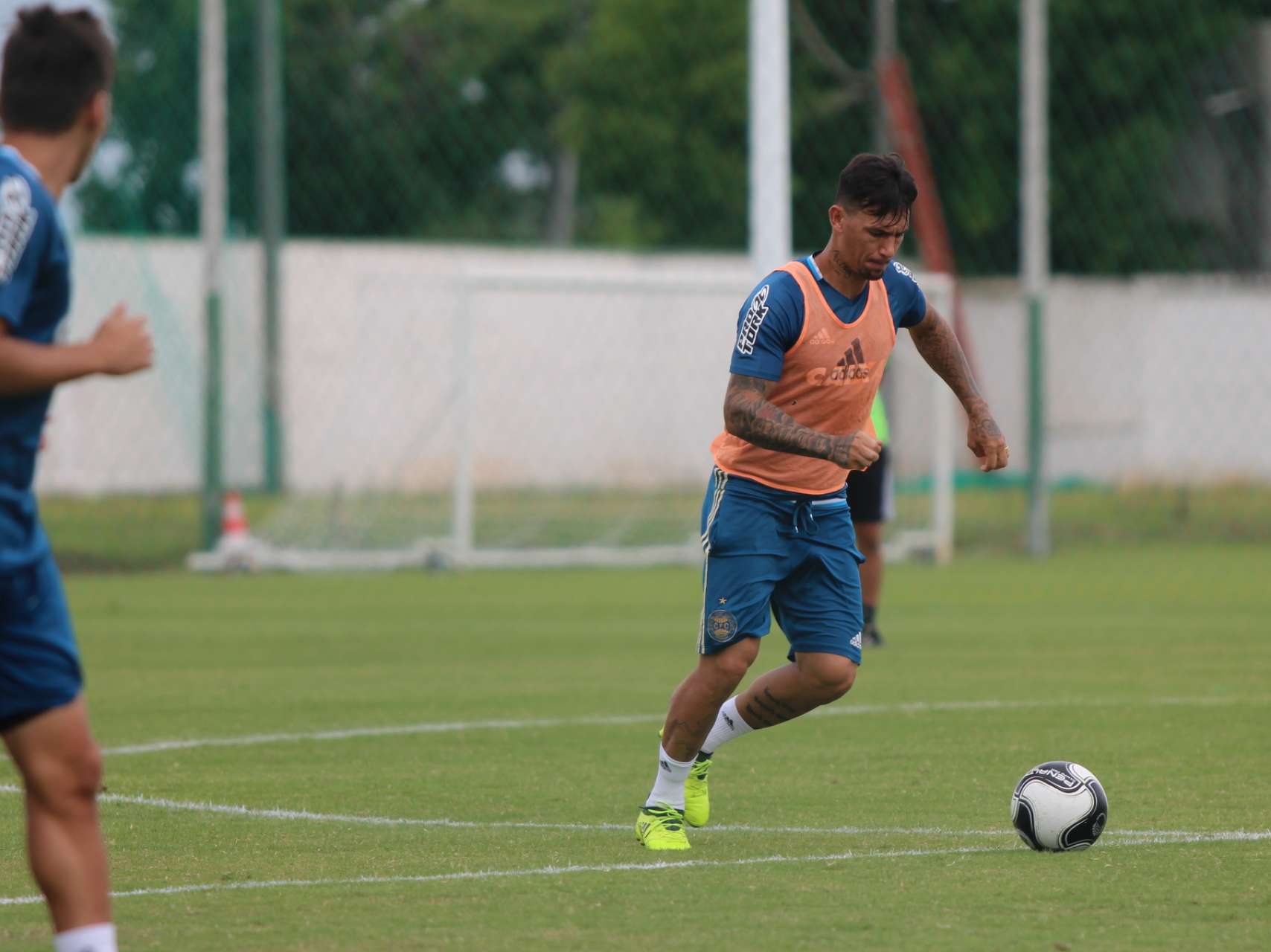 �Vamos com for�a total�