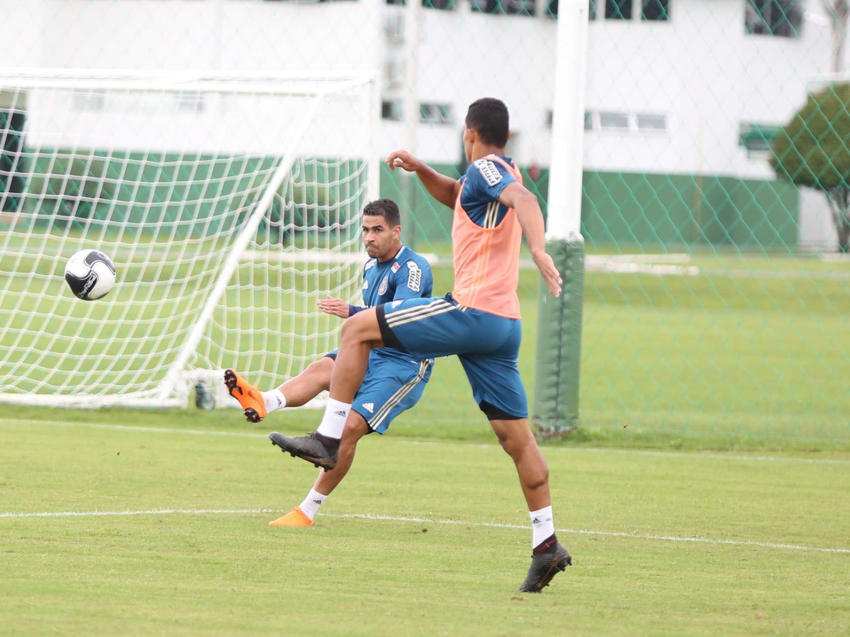 Treino em fotos
