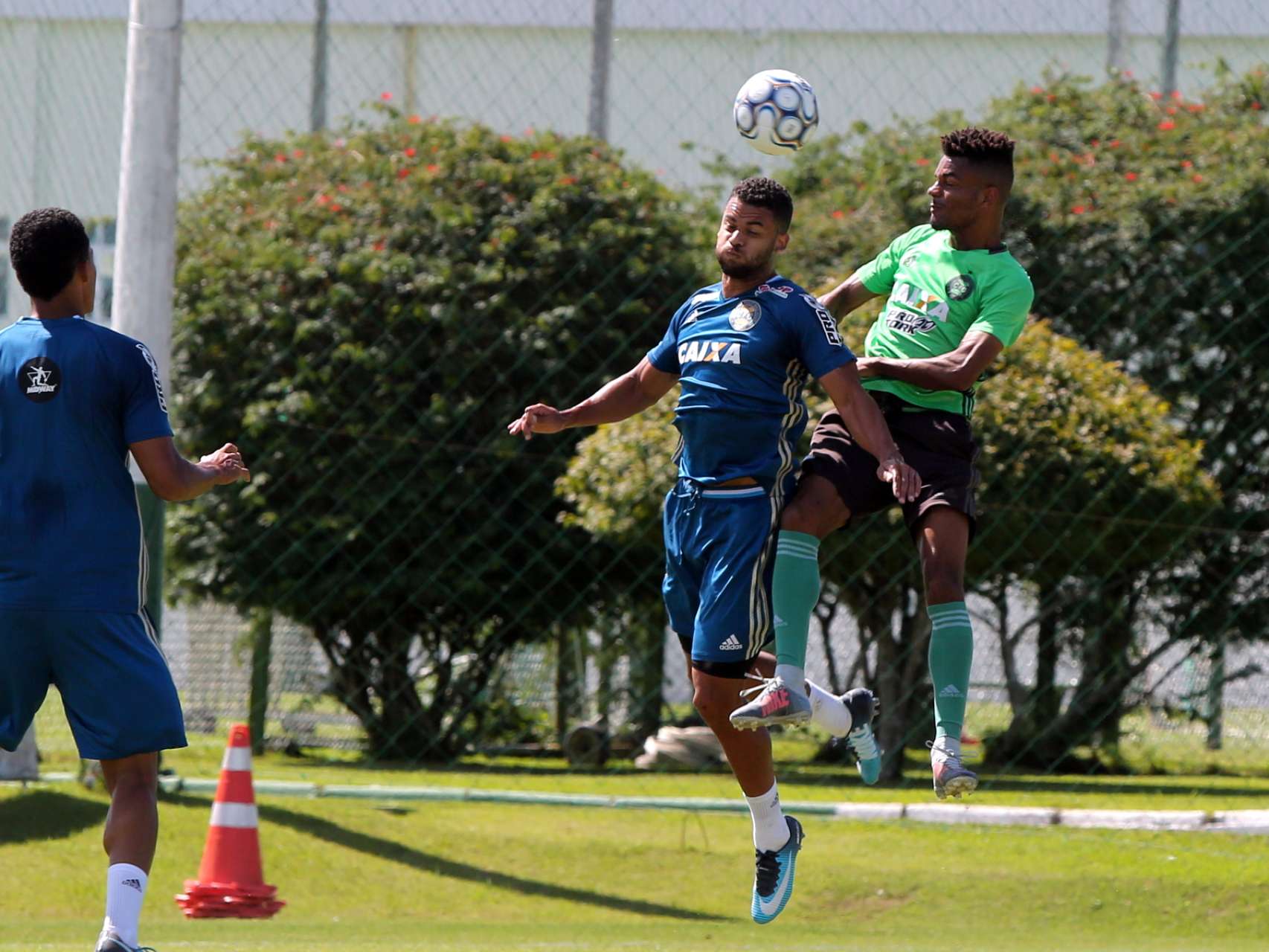 Reapresenta��o alviverde