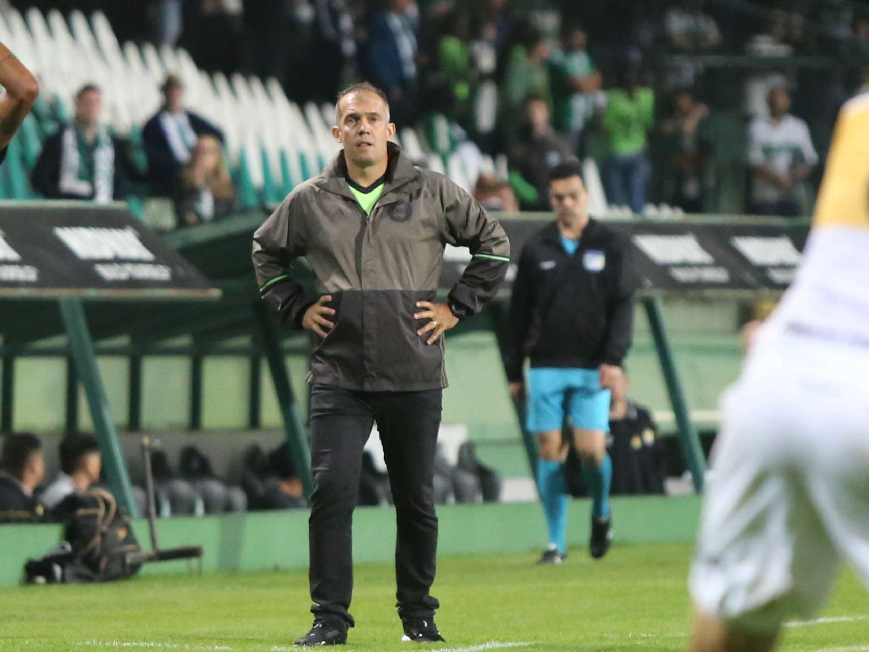 A palavra do estreante