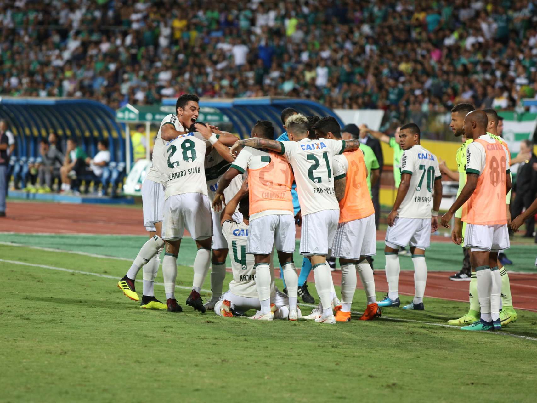 C�mera Coxa � #GOIxCFC