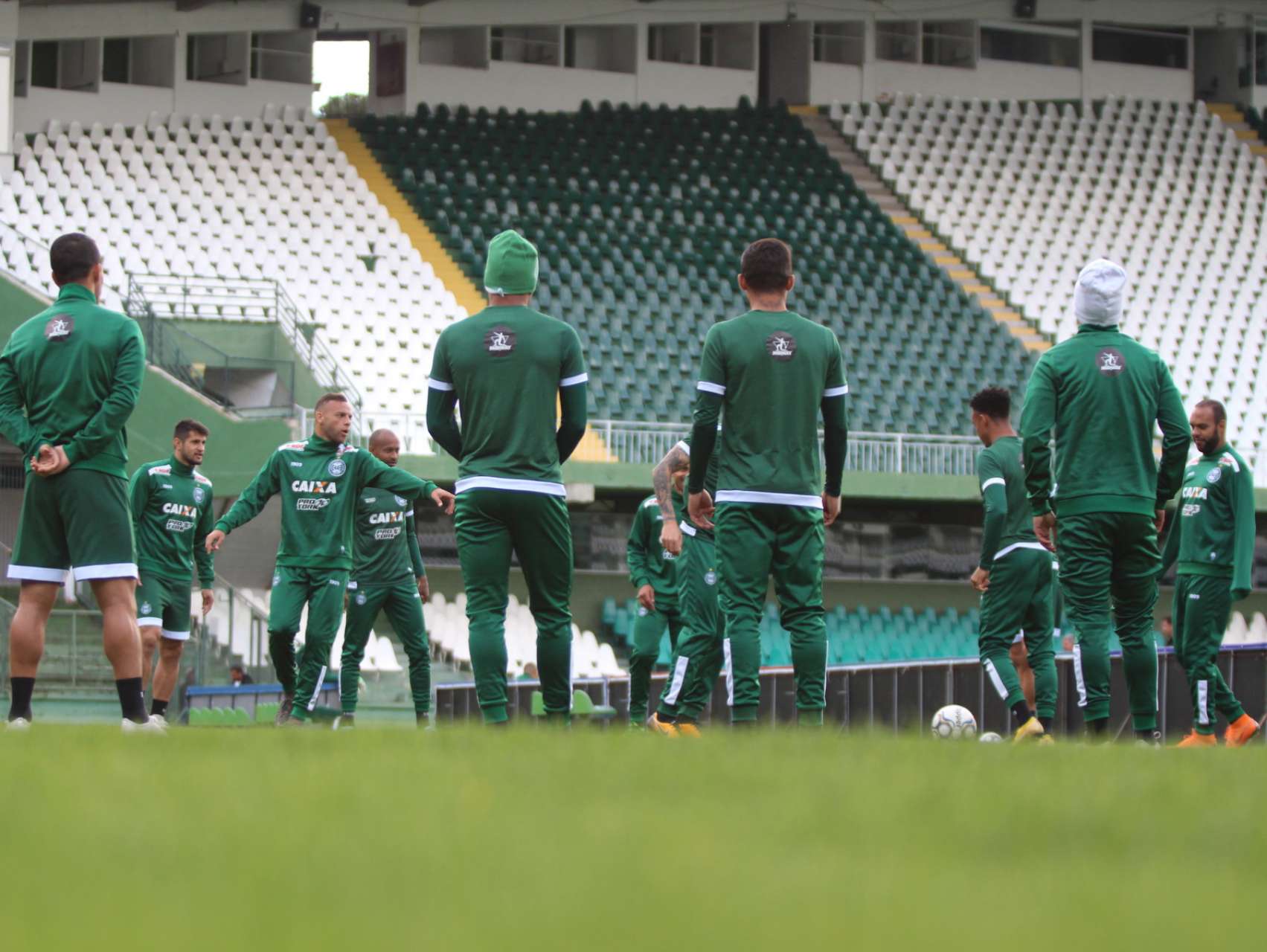 Relacionados
