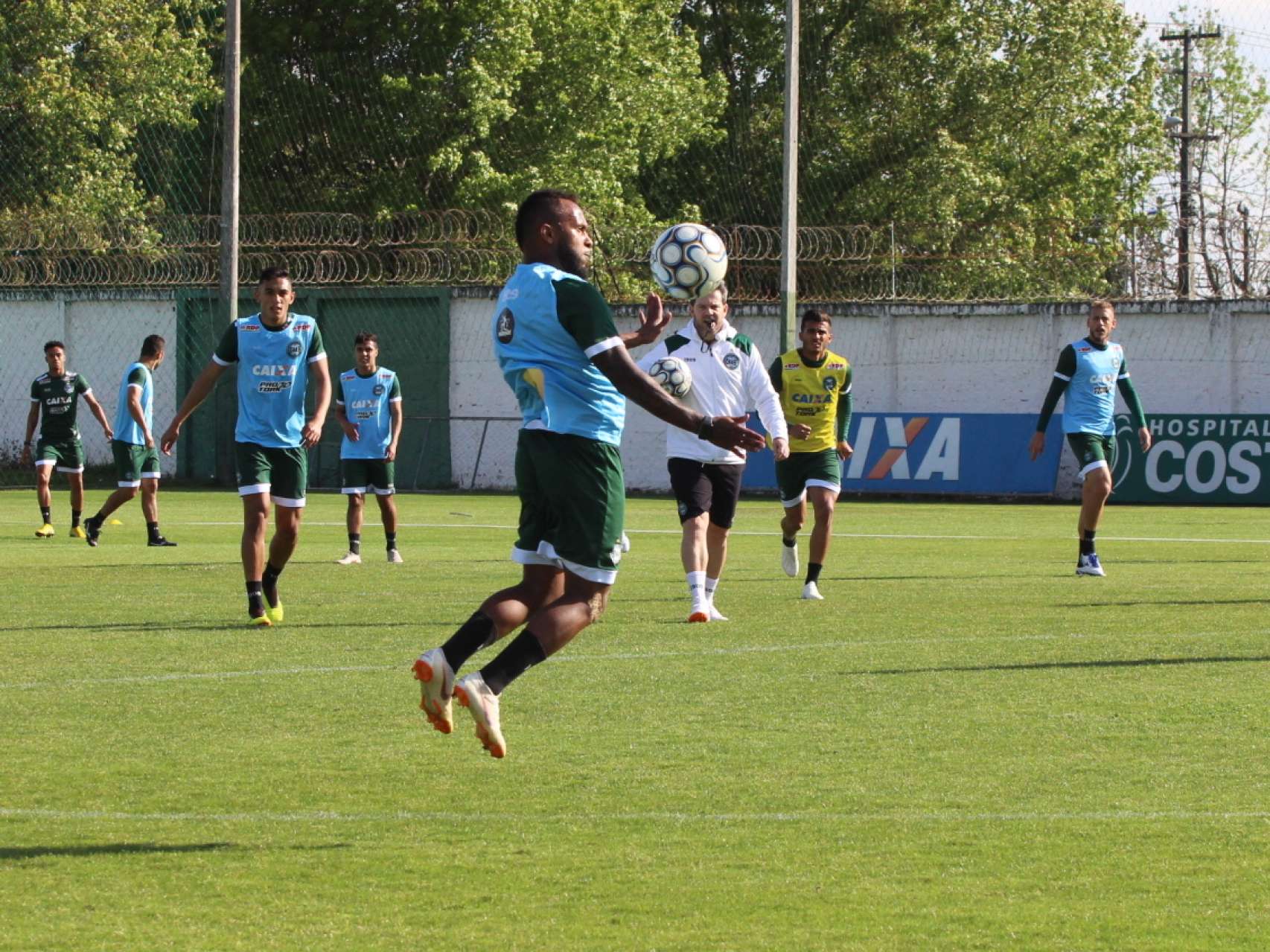 Galeria: treino alviverde