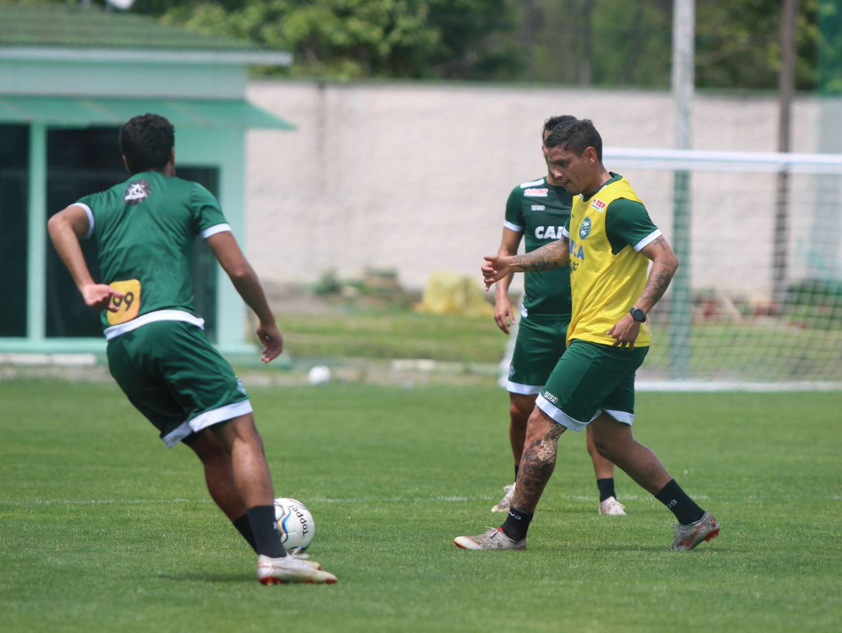 Reapresenta��o
