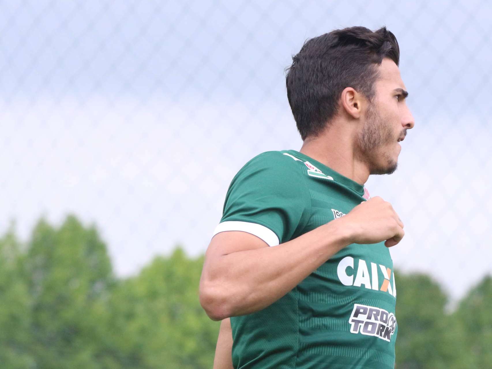 Galeria do treino 