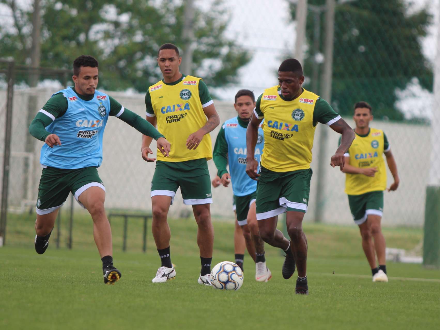 Trabalho movimenta tarde alviverde no CT