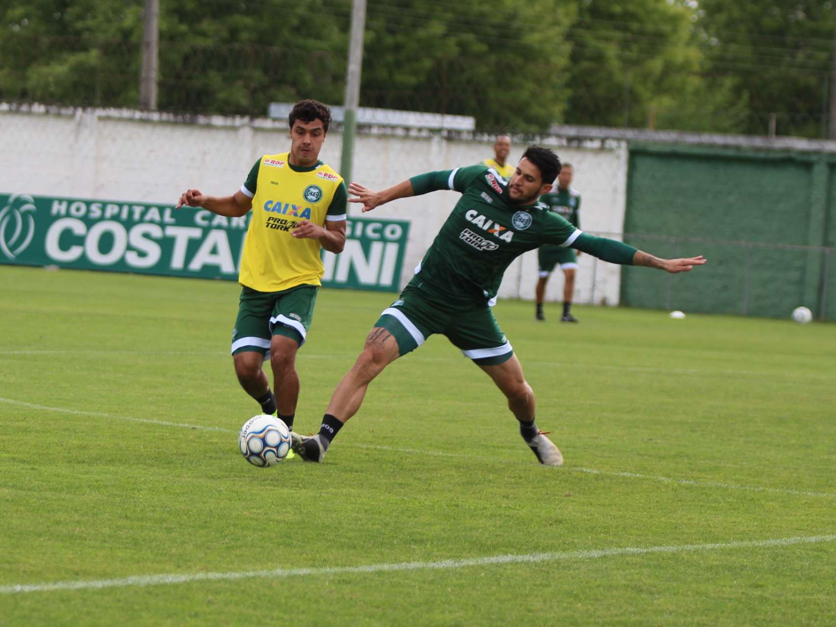 Fotos do treino coxa-branca