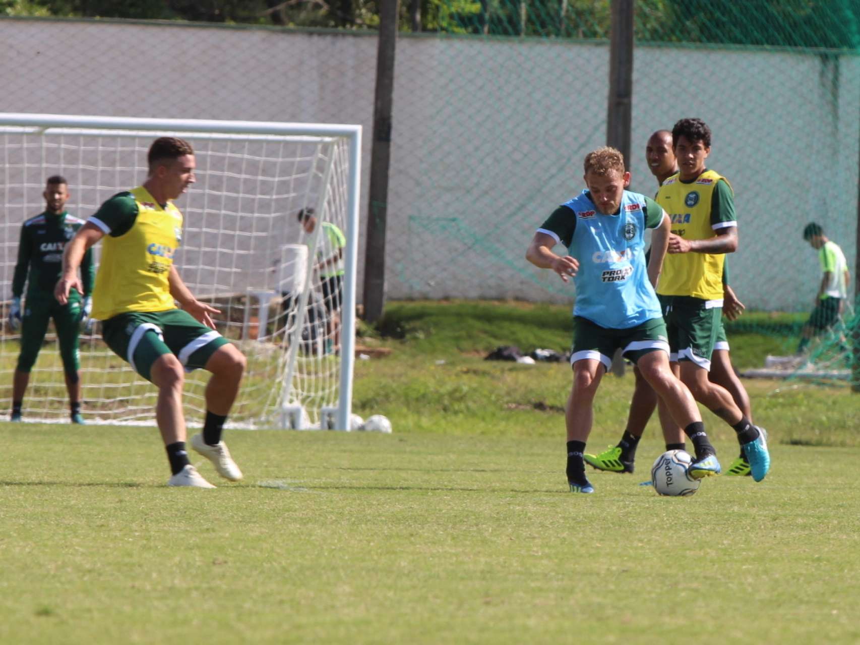 Galeria Coxa
