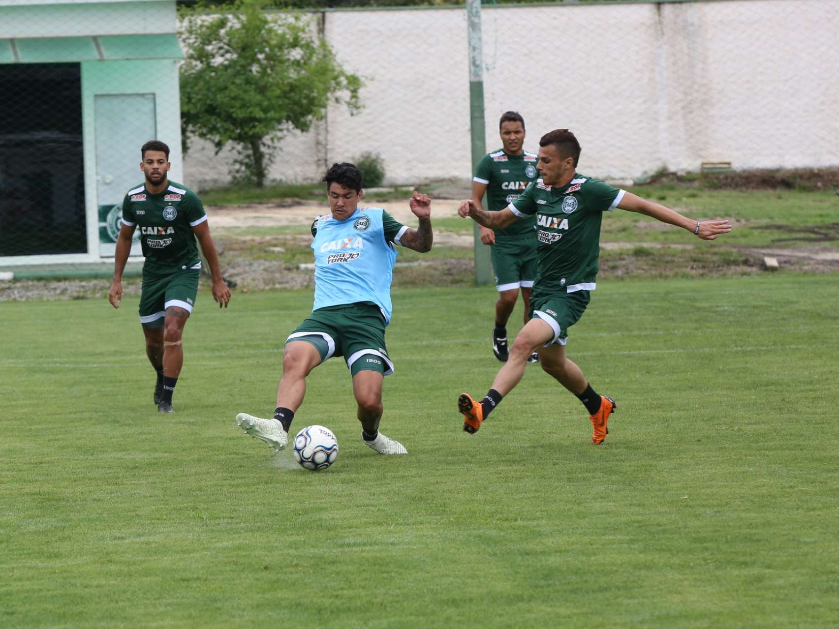 Atividades em campo marcam primeiro domingo do ano