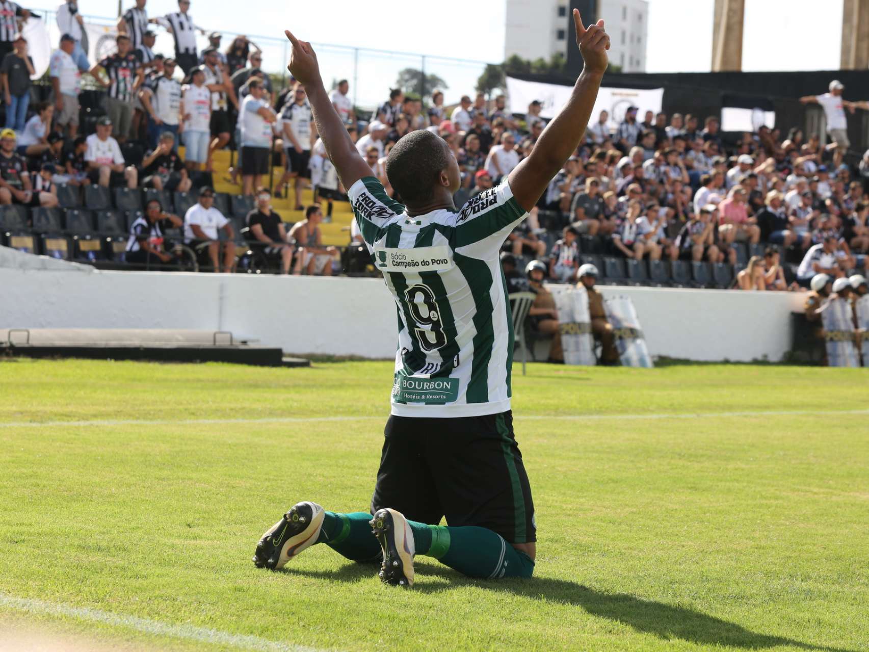 Jogadores estreantes 