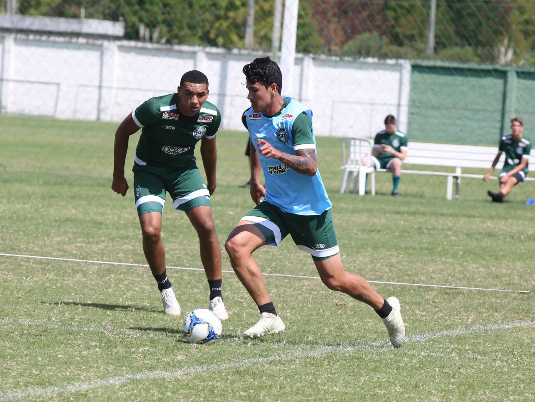 Fotos da reapresenta��o