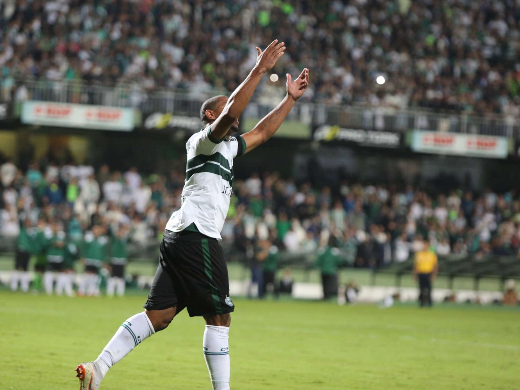 De novo, Rodrig�o
