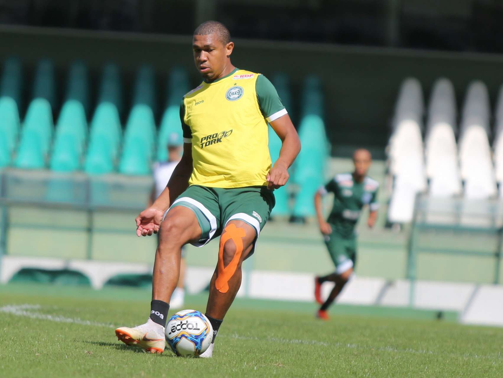 Trabalho no Couto Pereira