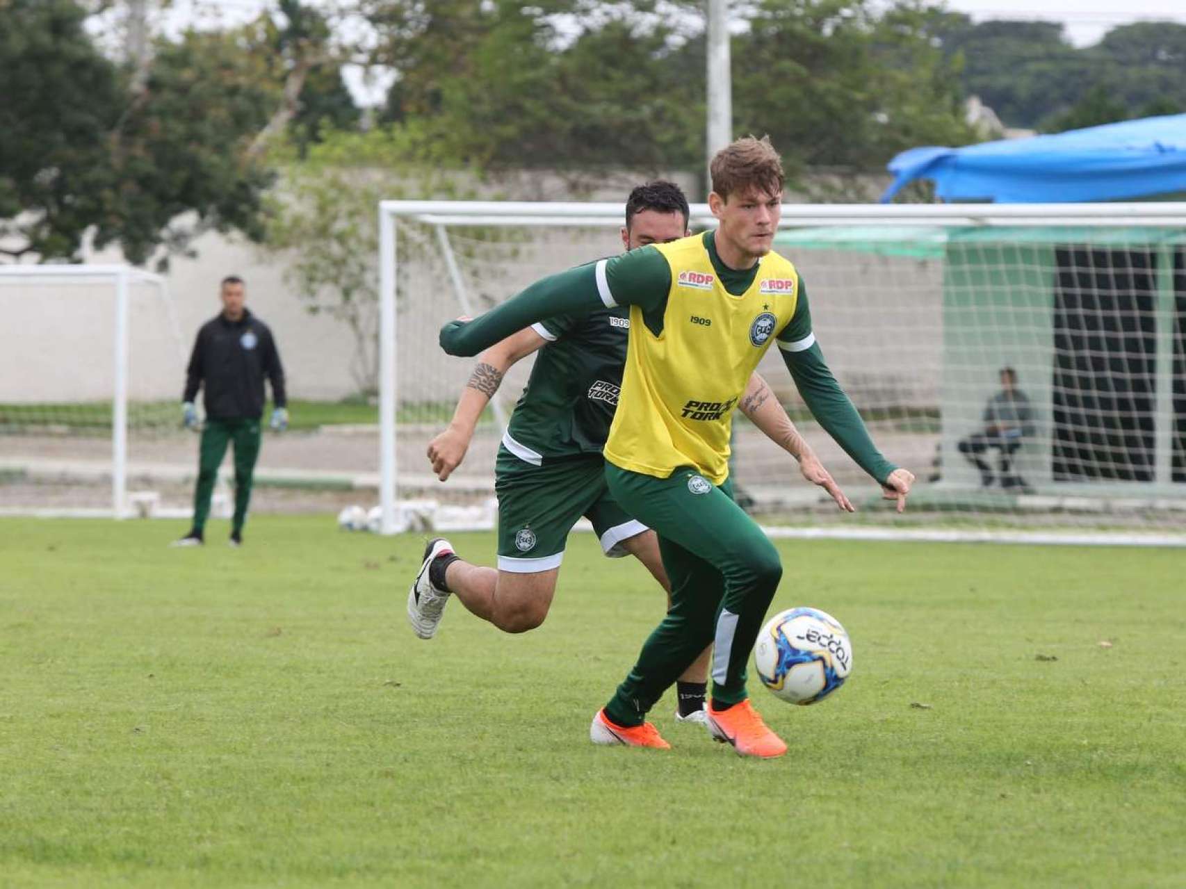 Fotos: treino alviverde