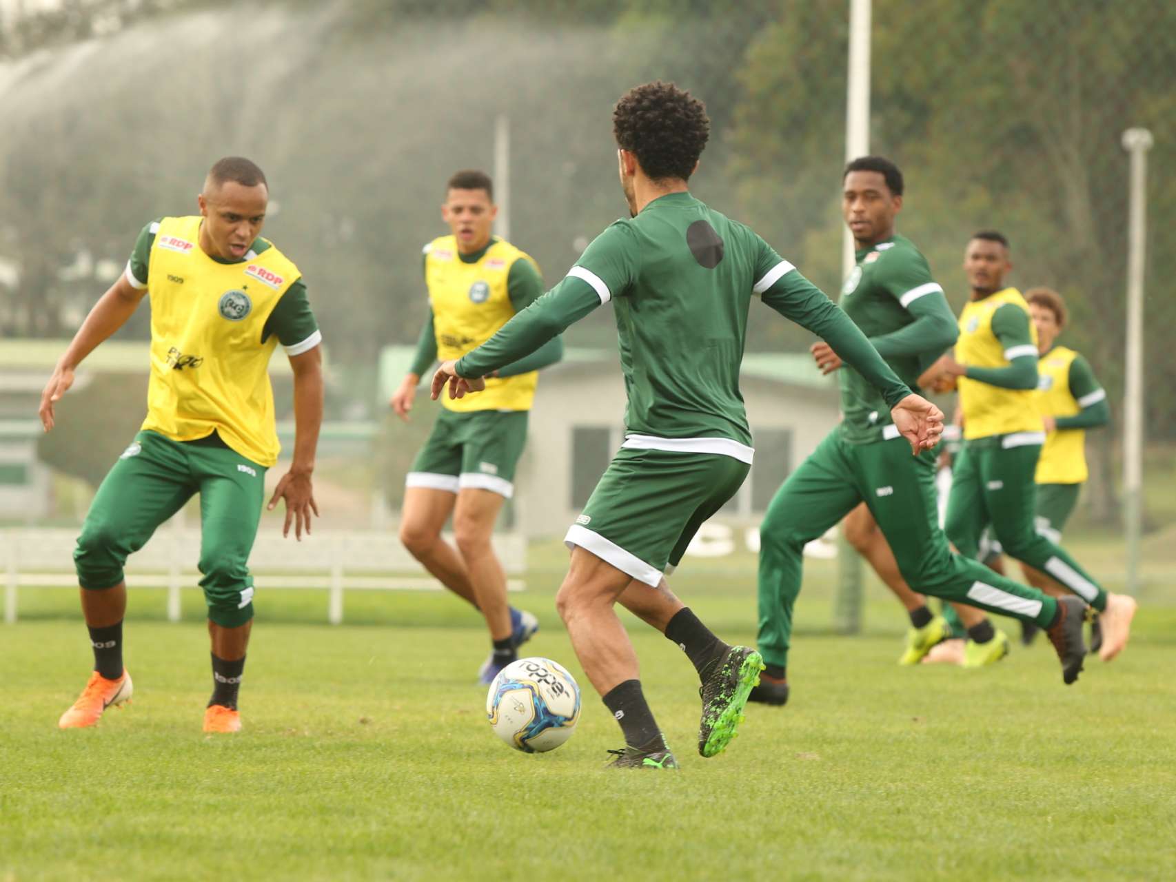 Galeria: treino alviverde