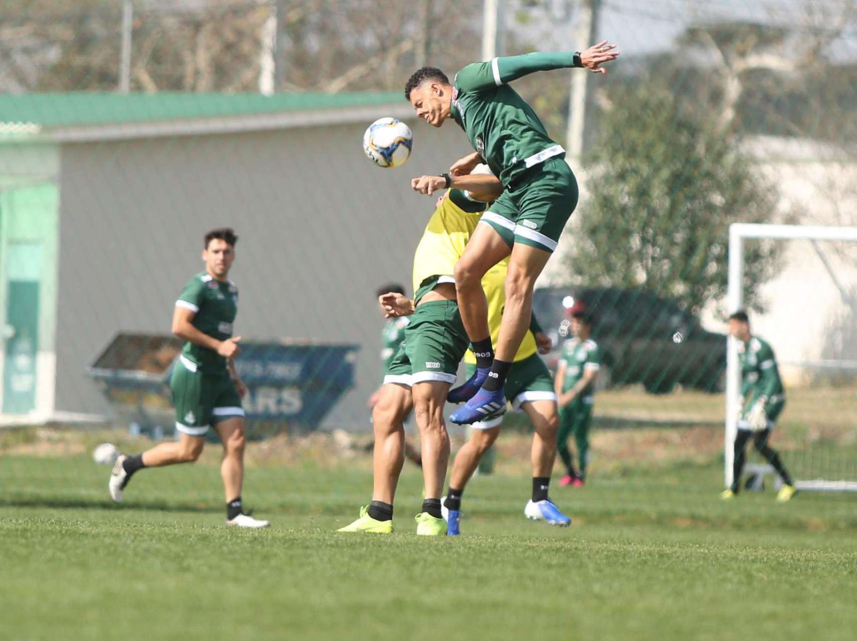 Galeria: equipe preparada