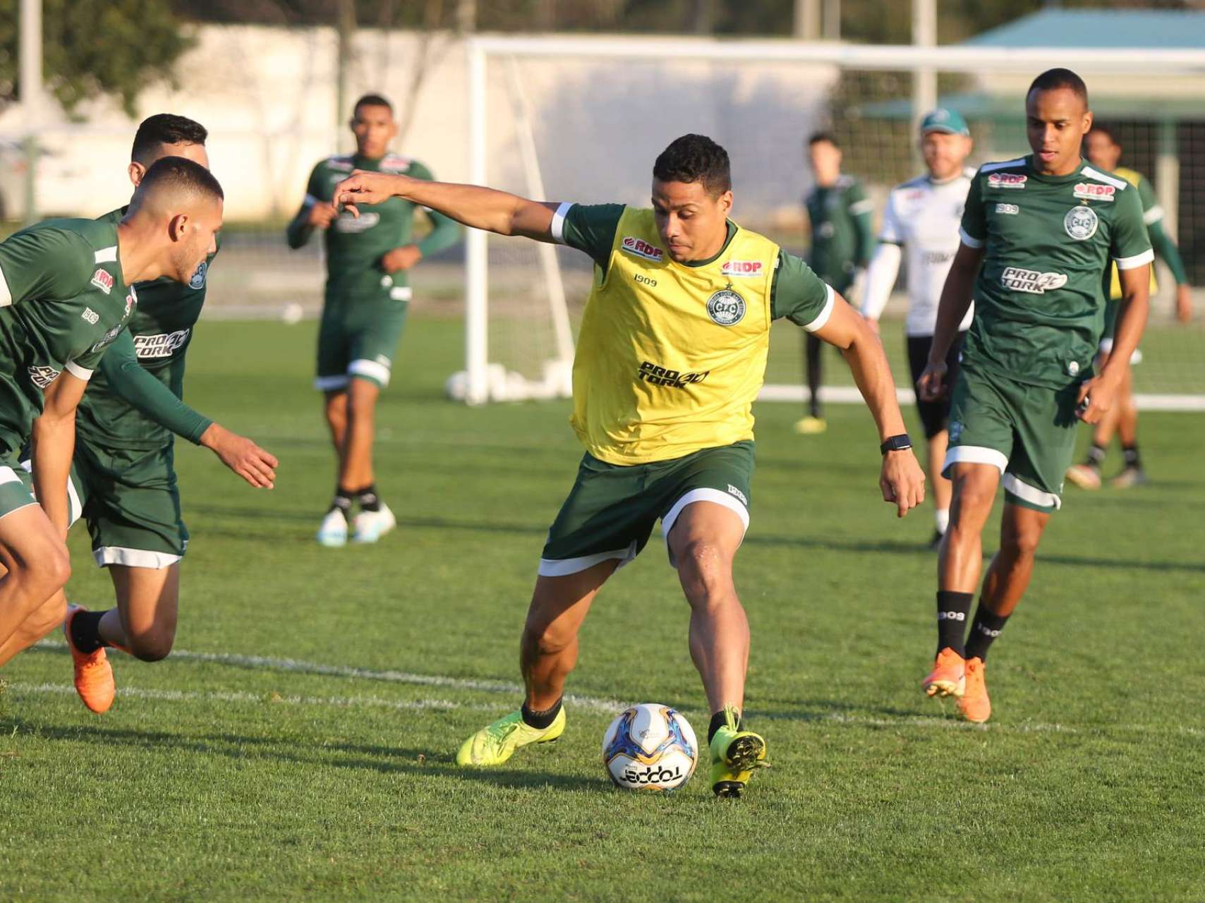 Galeria: reapresenta��o alviverde no CT