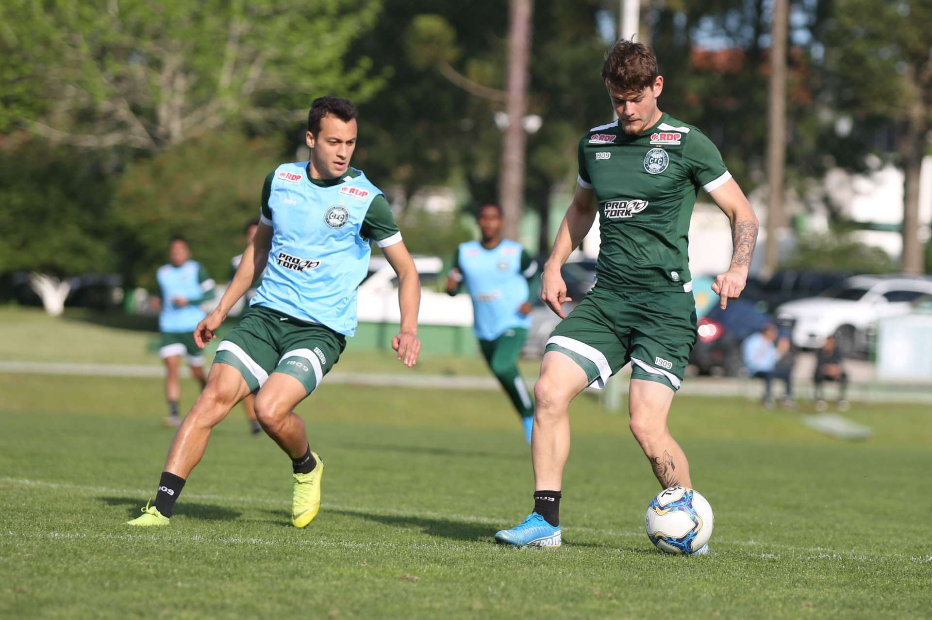 Treino alviverde