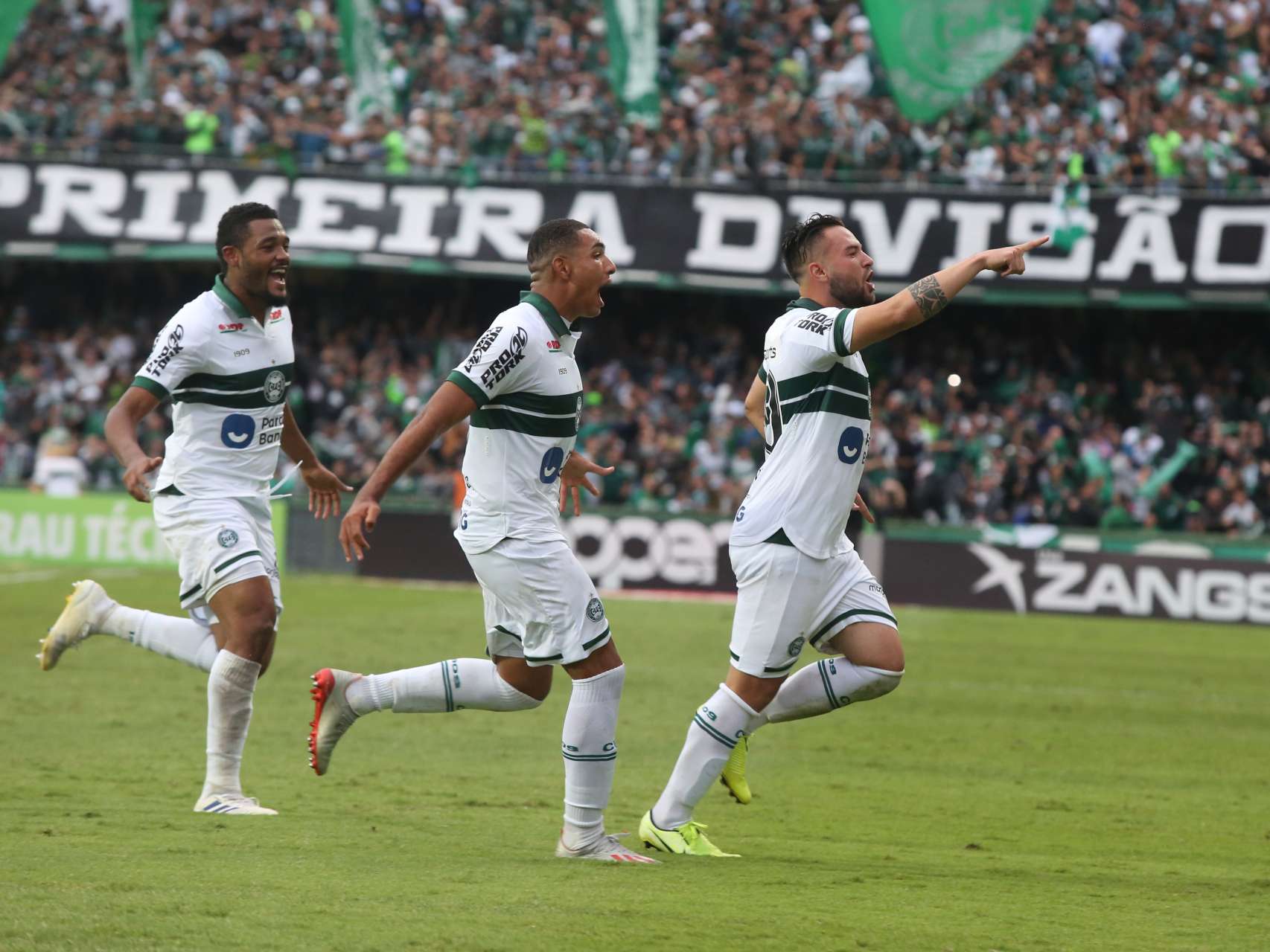 Fotos da vit�ria