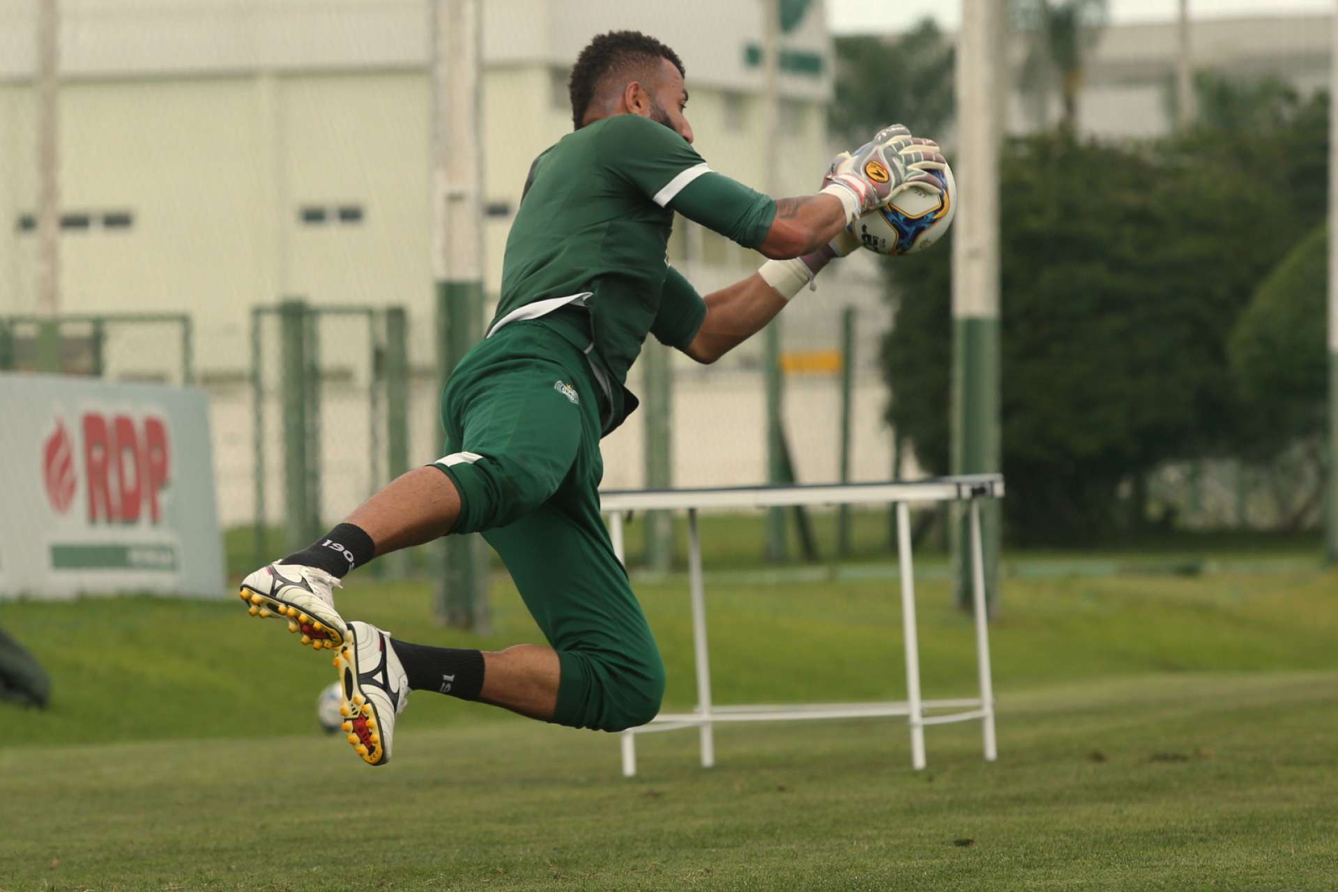 Imagens da reapresenta��o alviverde