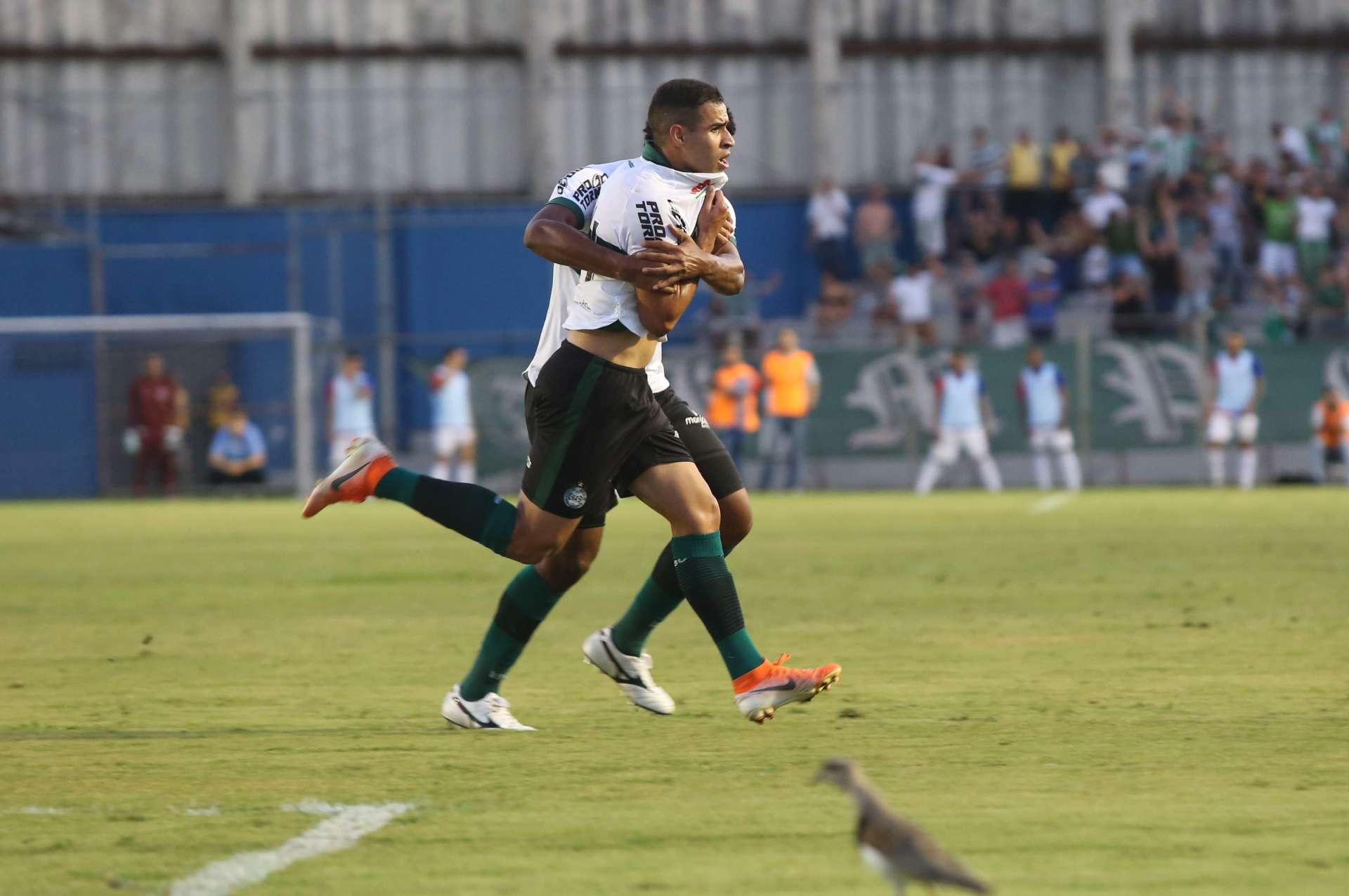 Gol importante