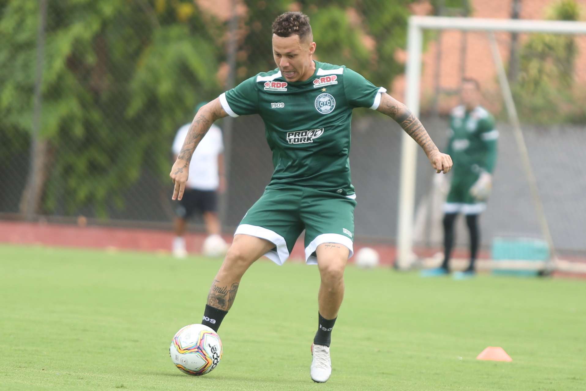 �ltimo treino 