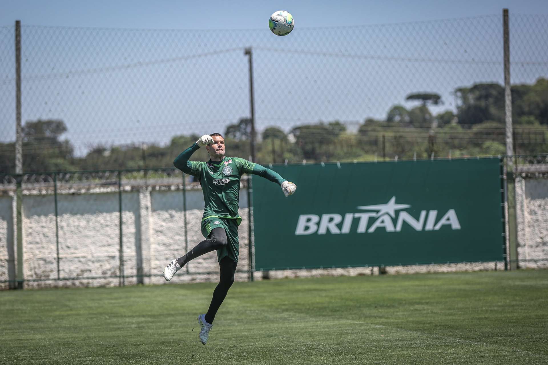 Foco no Palmeiras