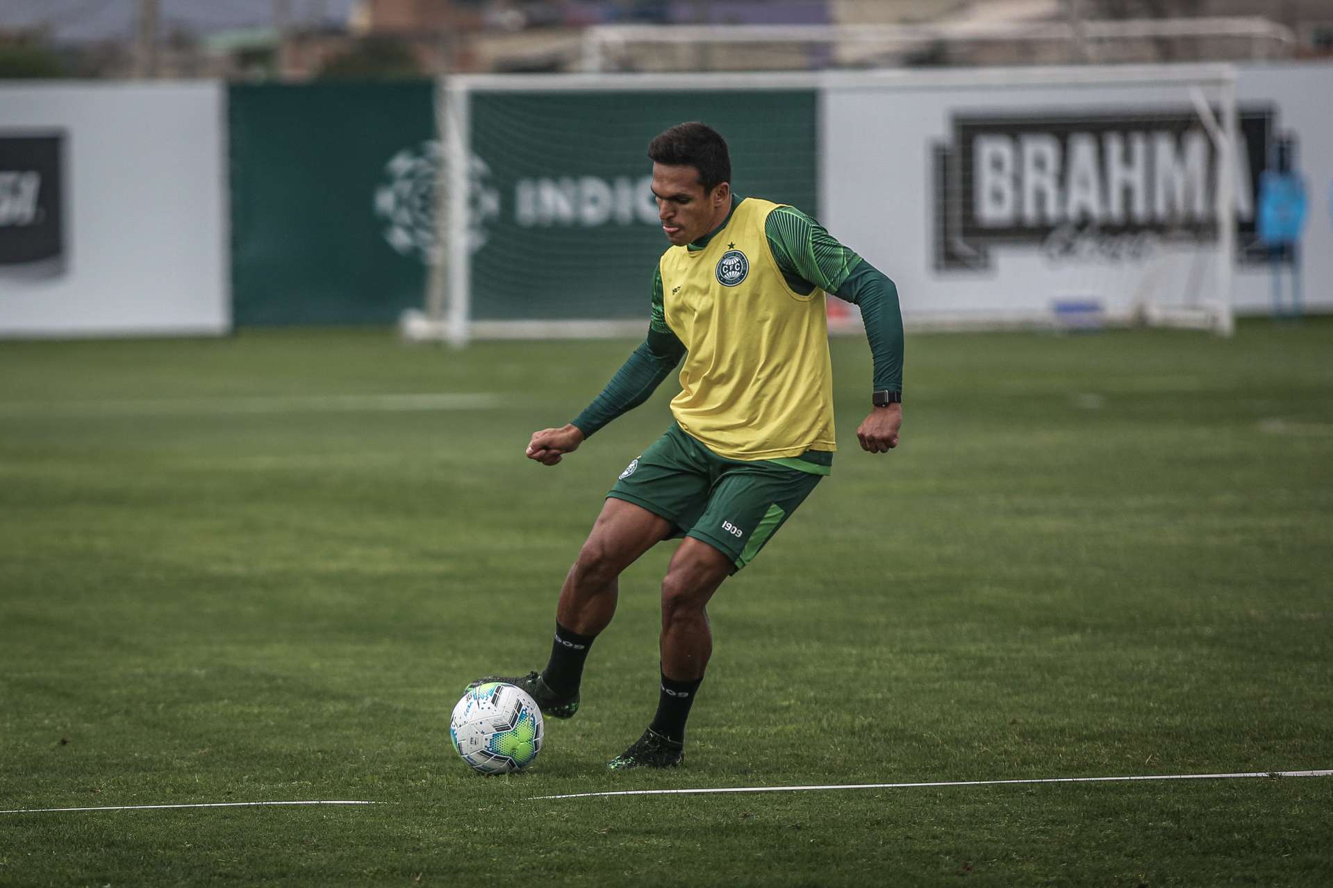 Imagens da atividade alviverde