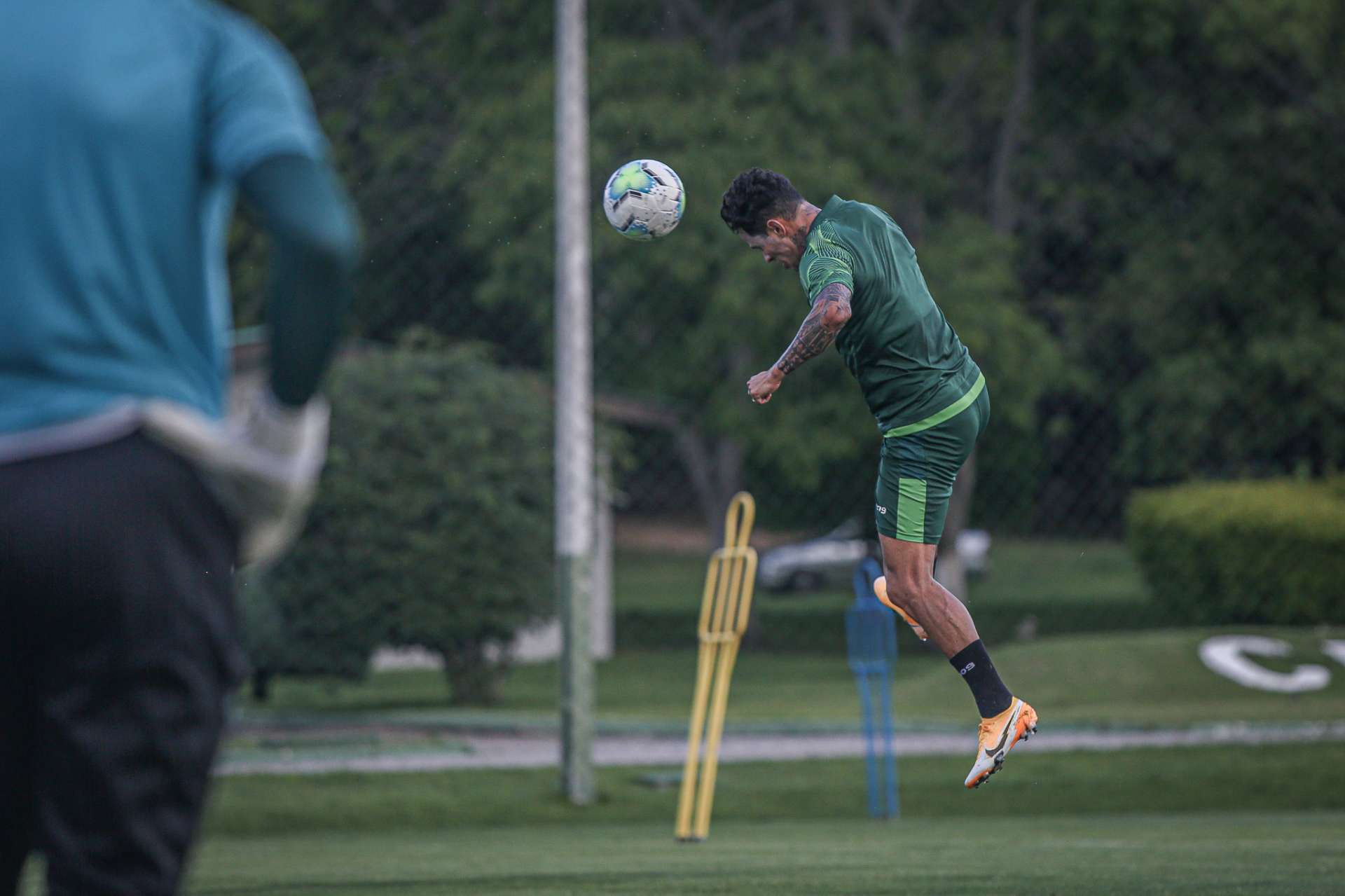 Prepara��o final