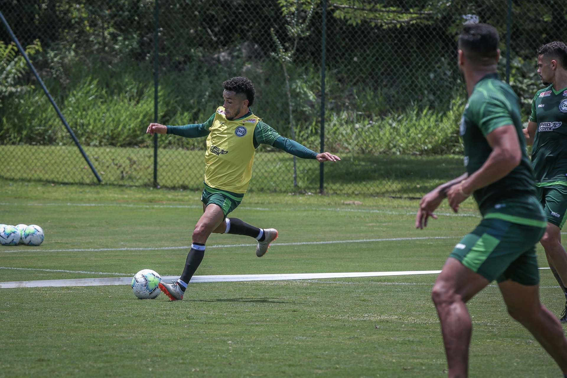 Imagens da atividade alviverde