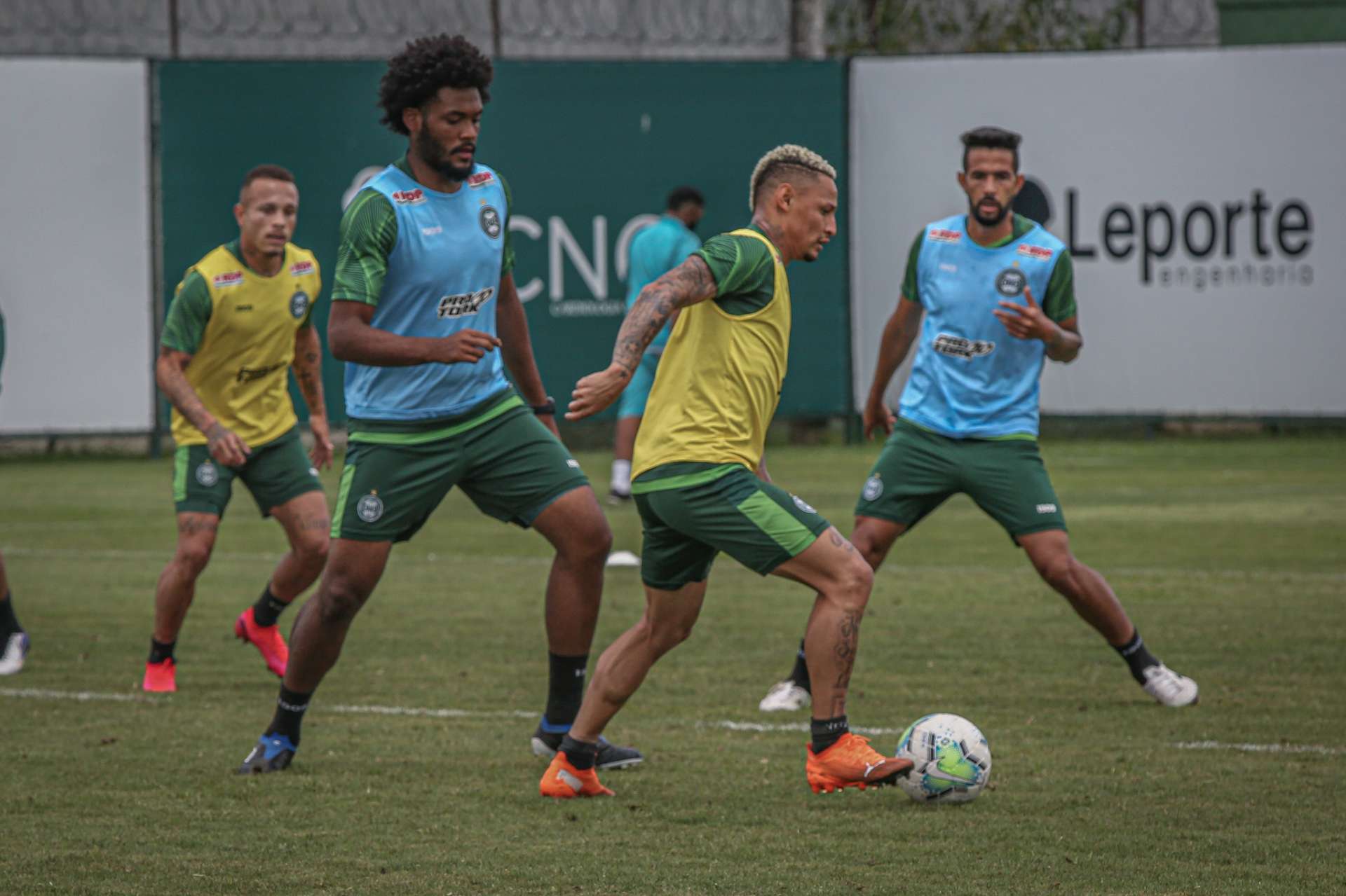 Imagens da atividade alviverde
