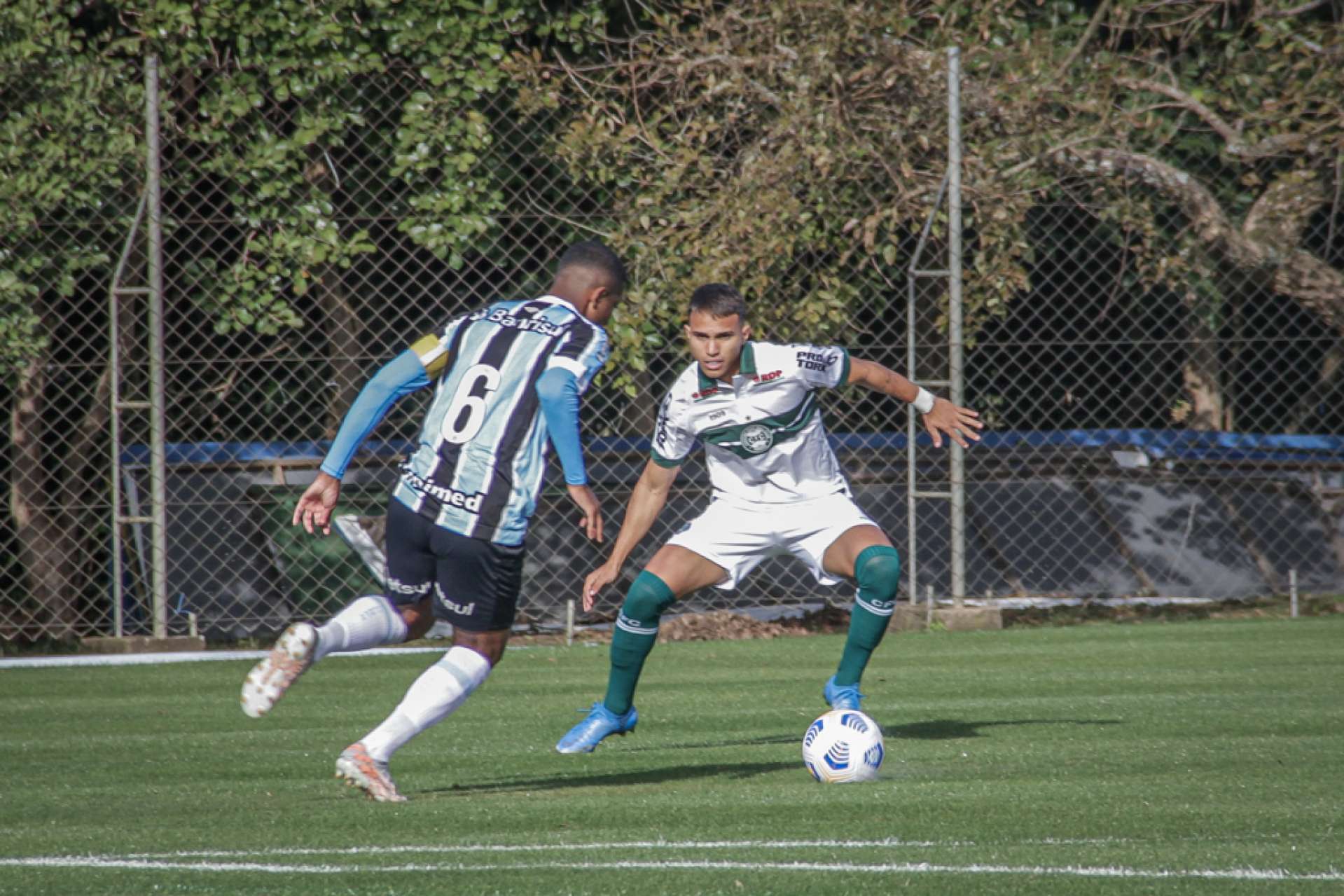 Rev�s na estreia do Aspirantes