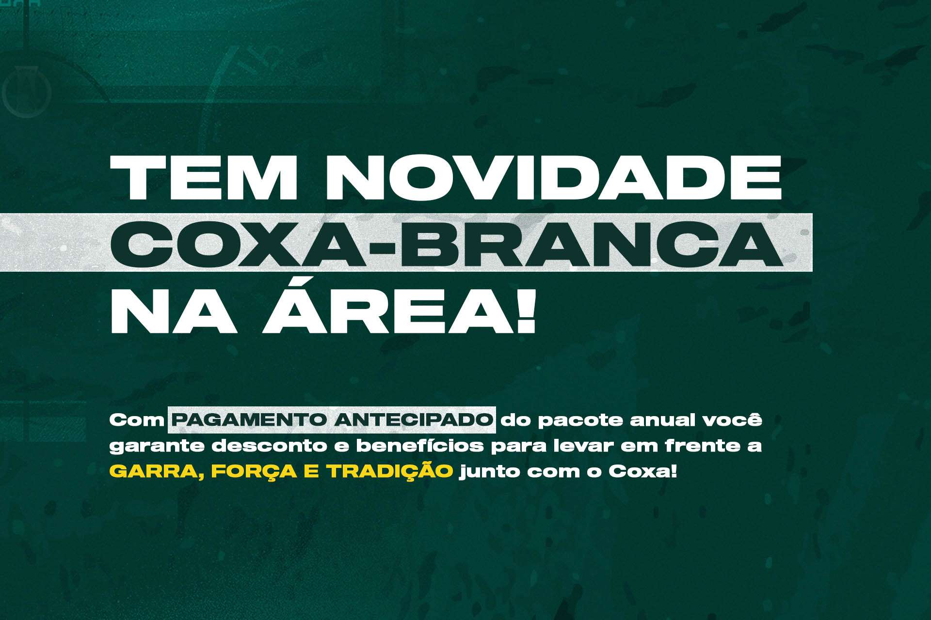 O momento � agora, s�cio coxa-branca