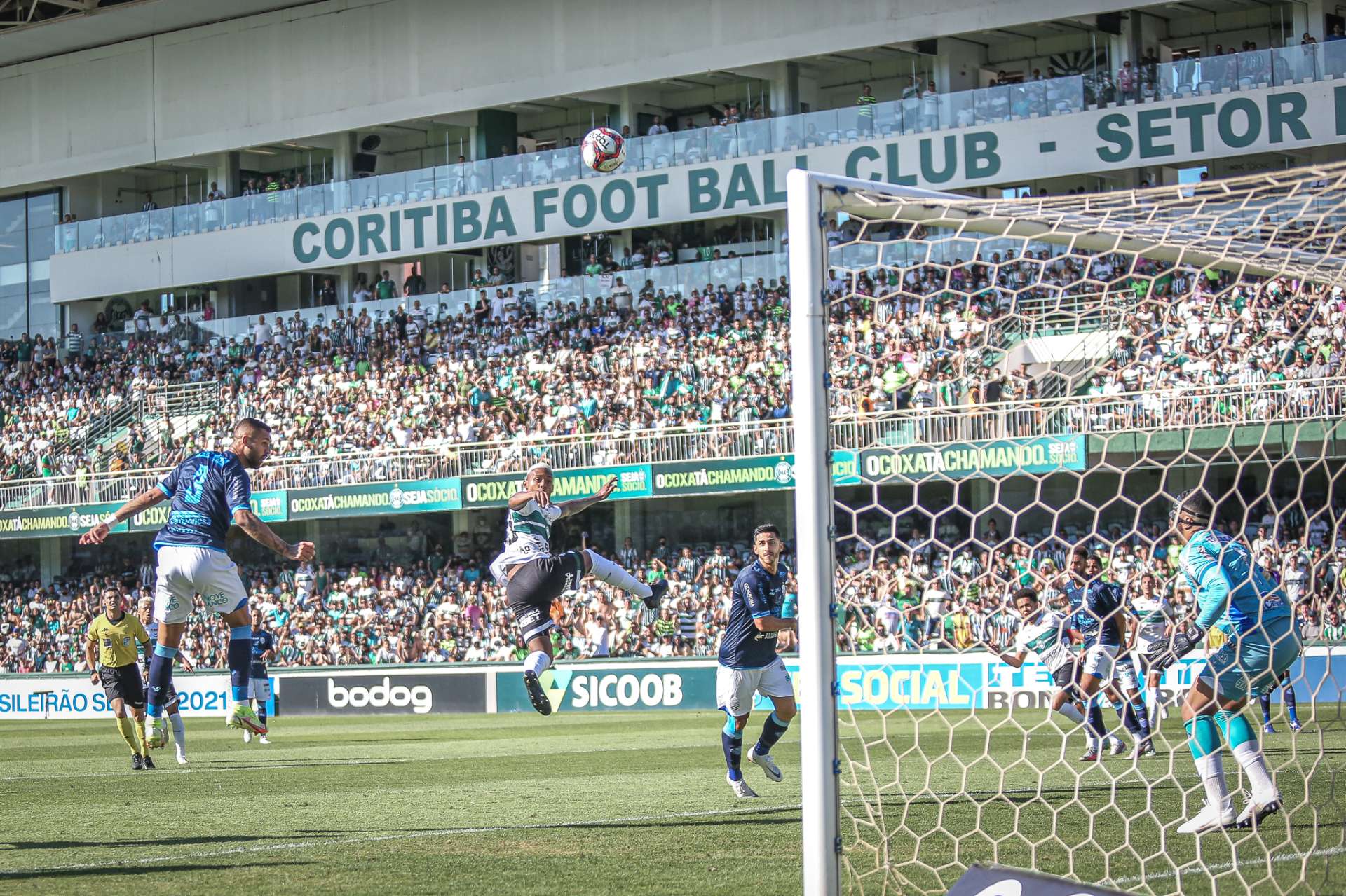 Galeria do jogo
