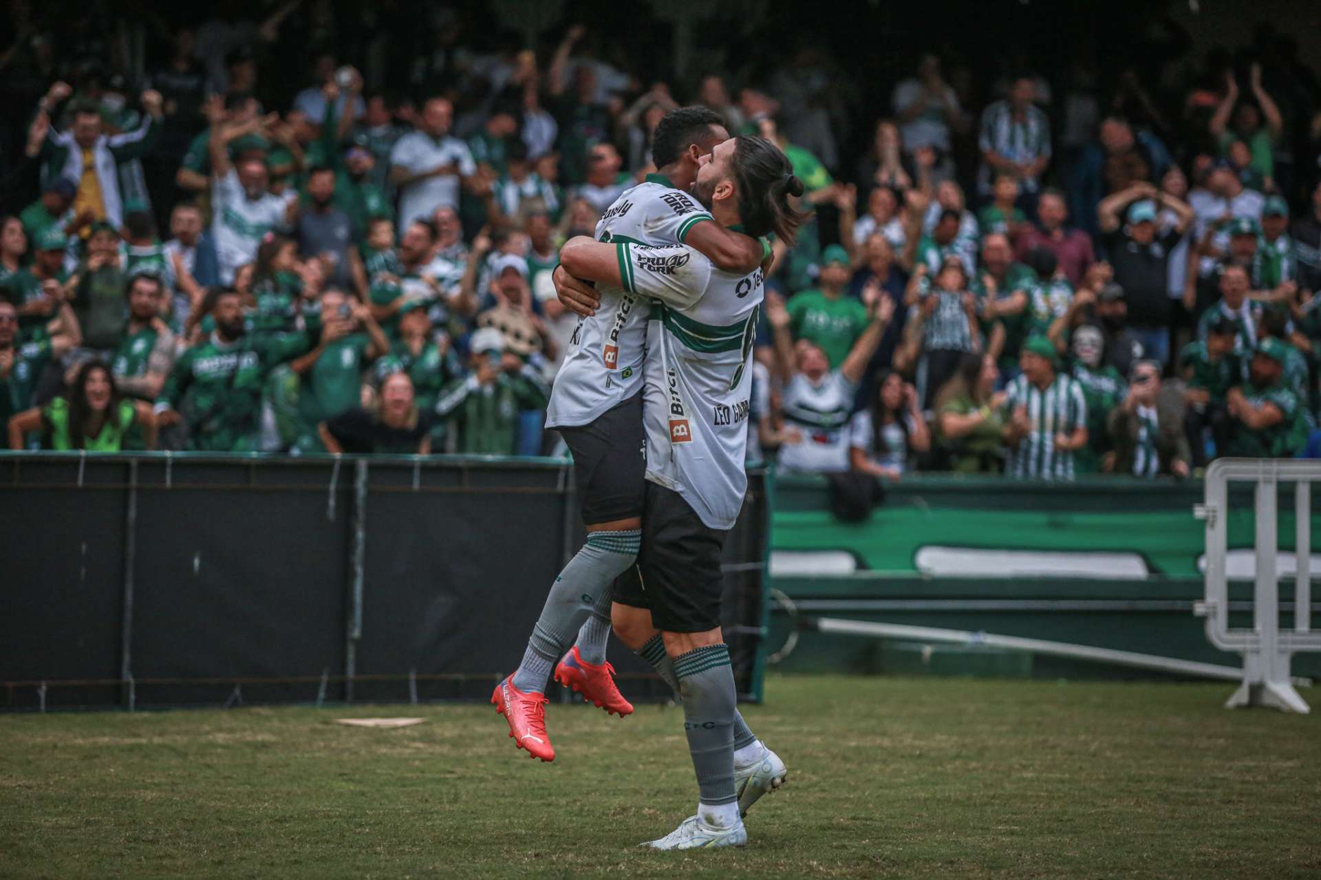 Galeria #CFCxBOT