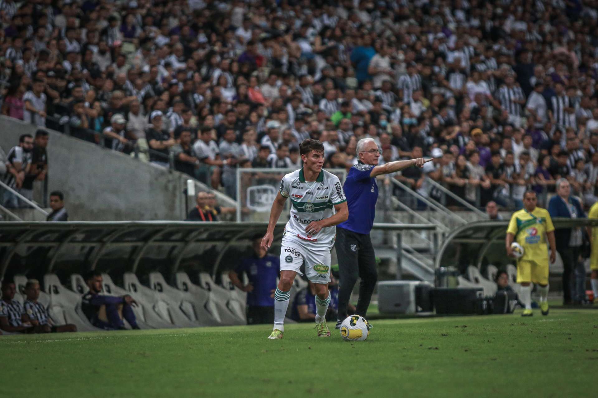 O Natanael voltou! 