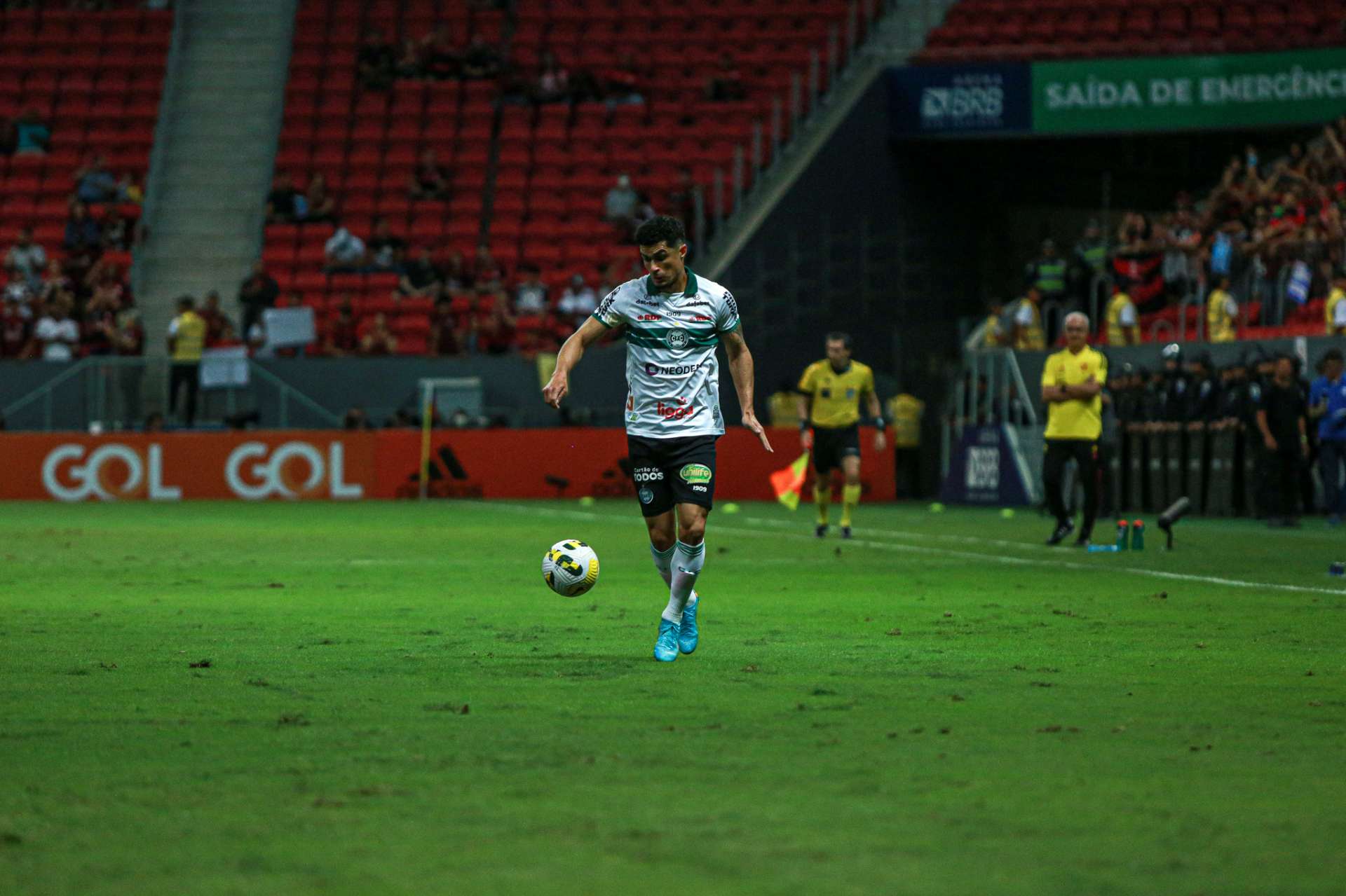 Galeria #FLAxCFC
