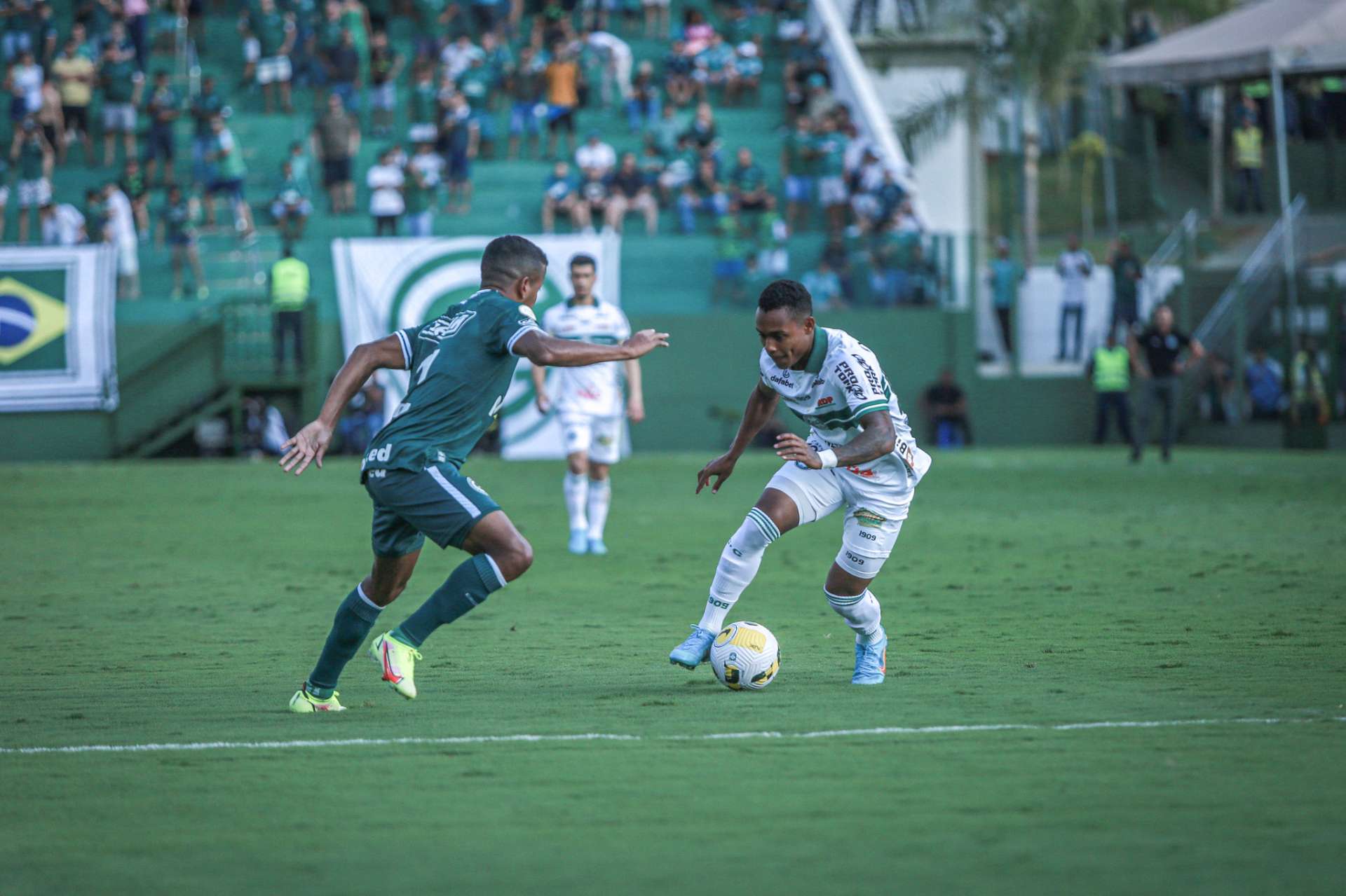 Galeria #GOIxCFC