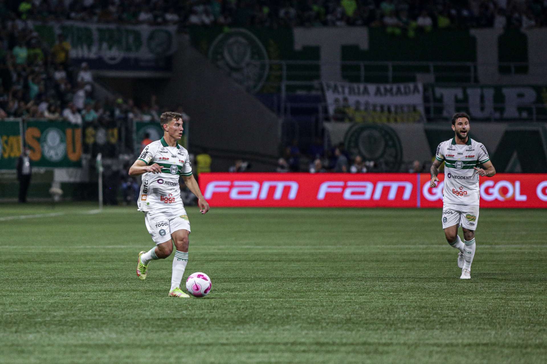 Galeria #PALxCFC