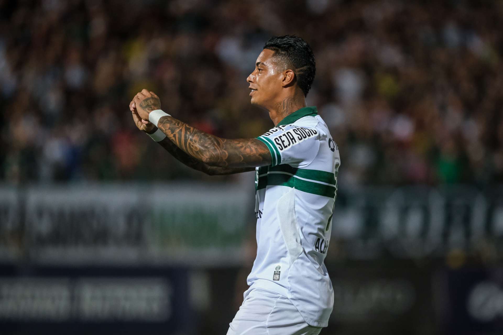 Galeria #MFCxCFC