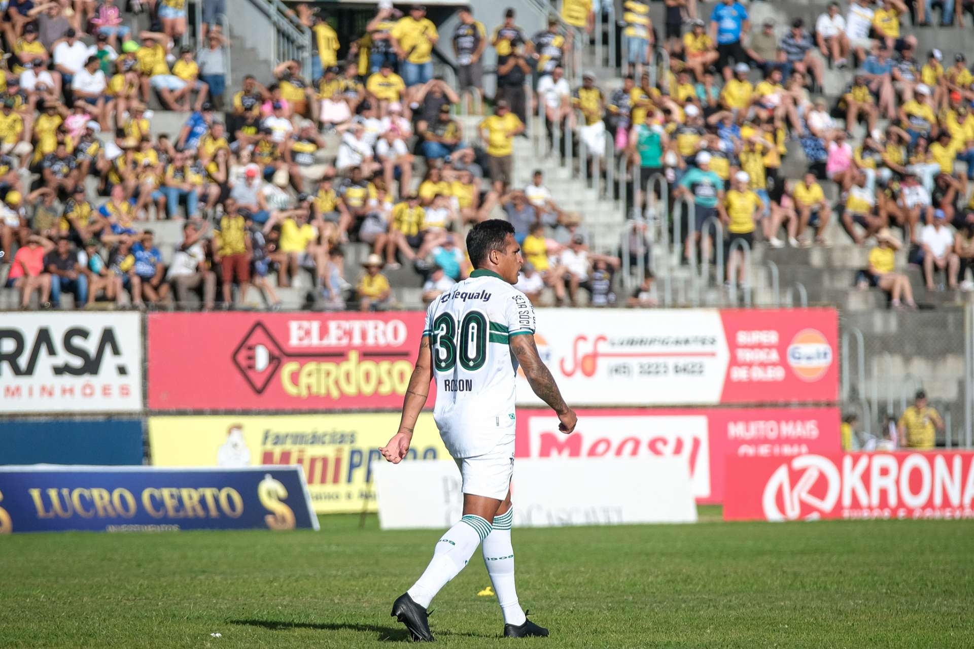 Galeria #FCCxCFC