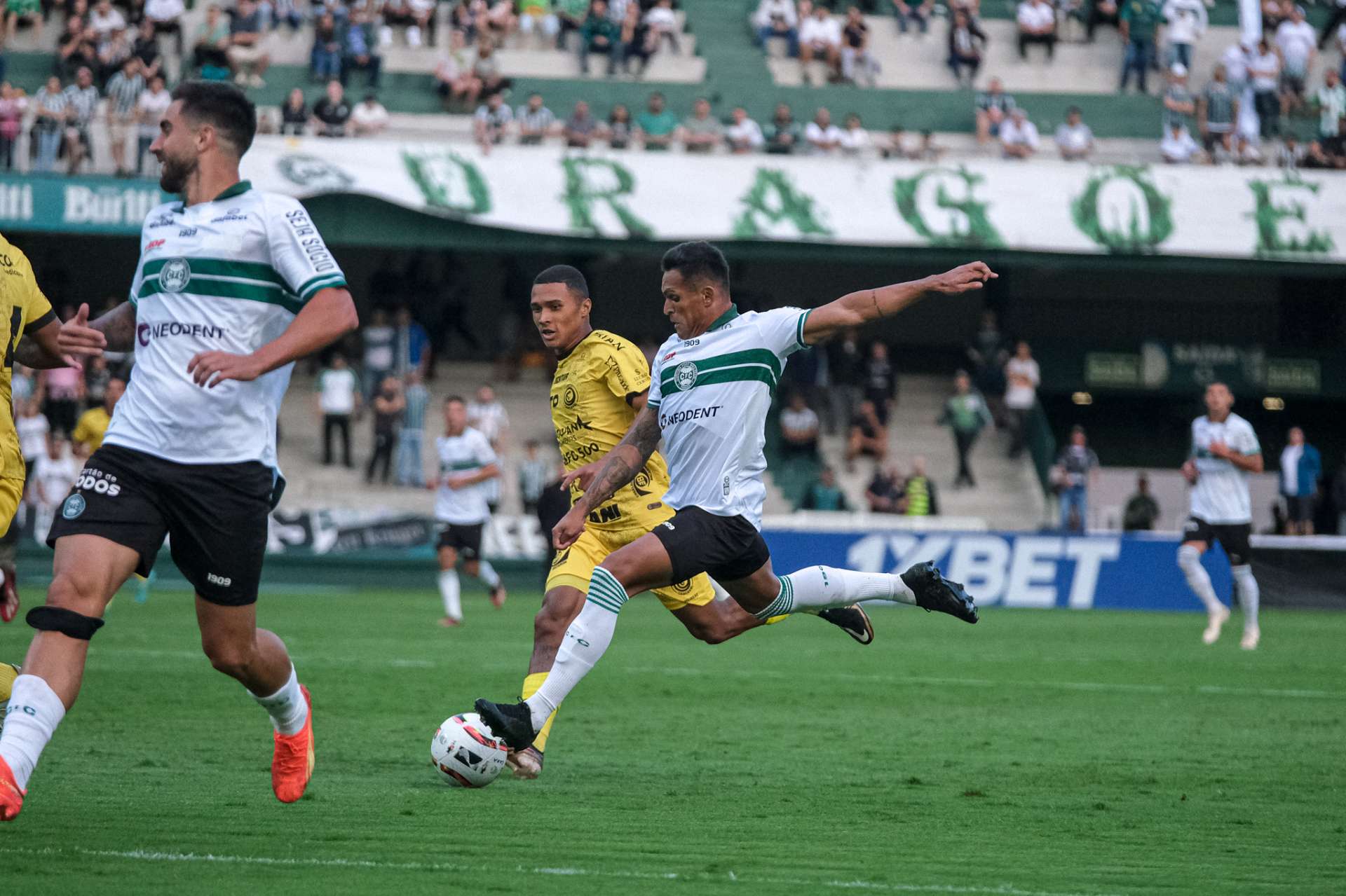 Galeria #CFCxFCC