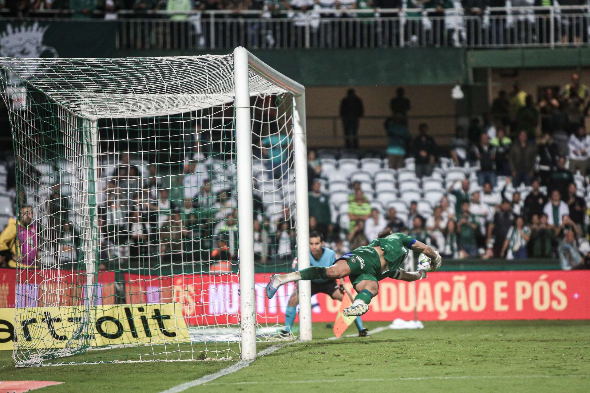 Galeria #CFCxCEC