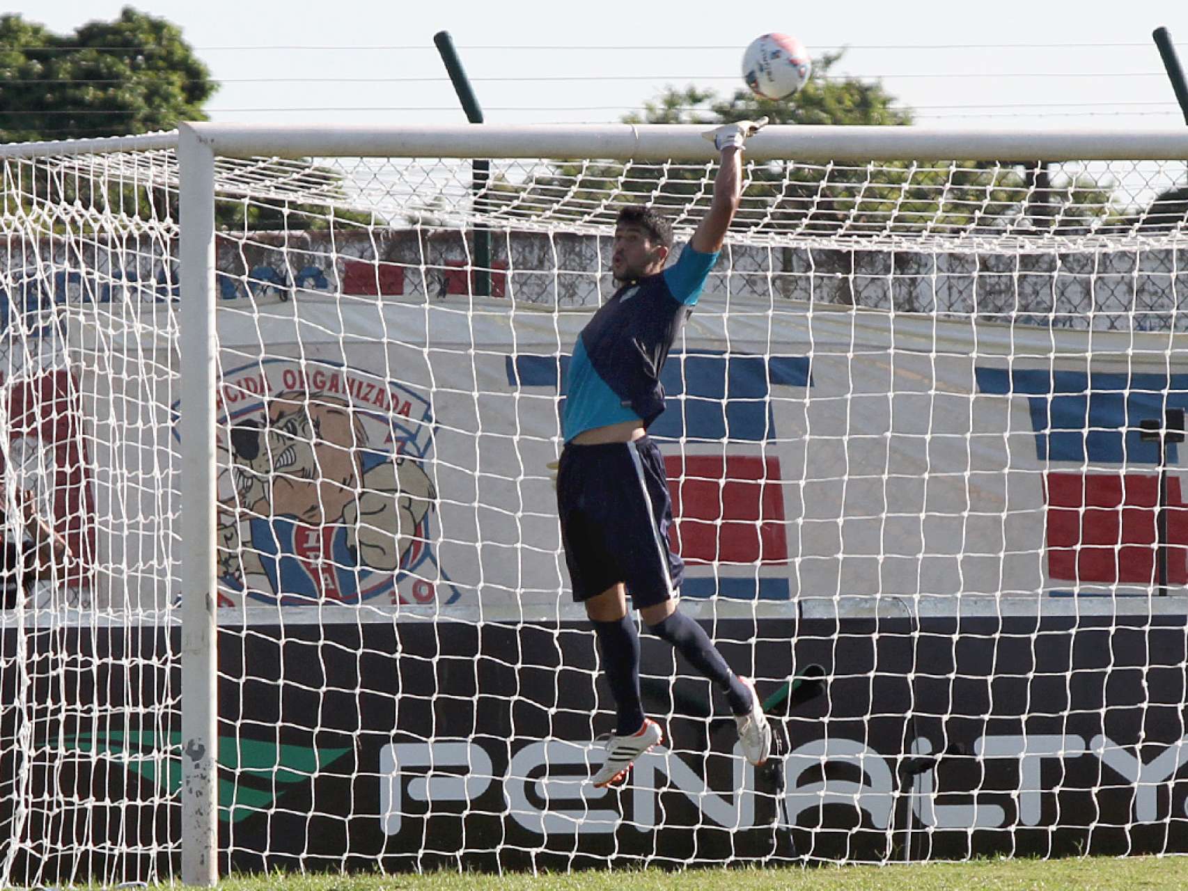 Van� comemora estreia