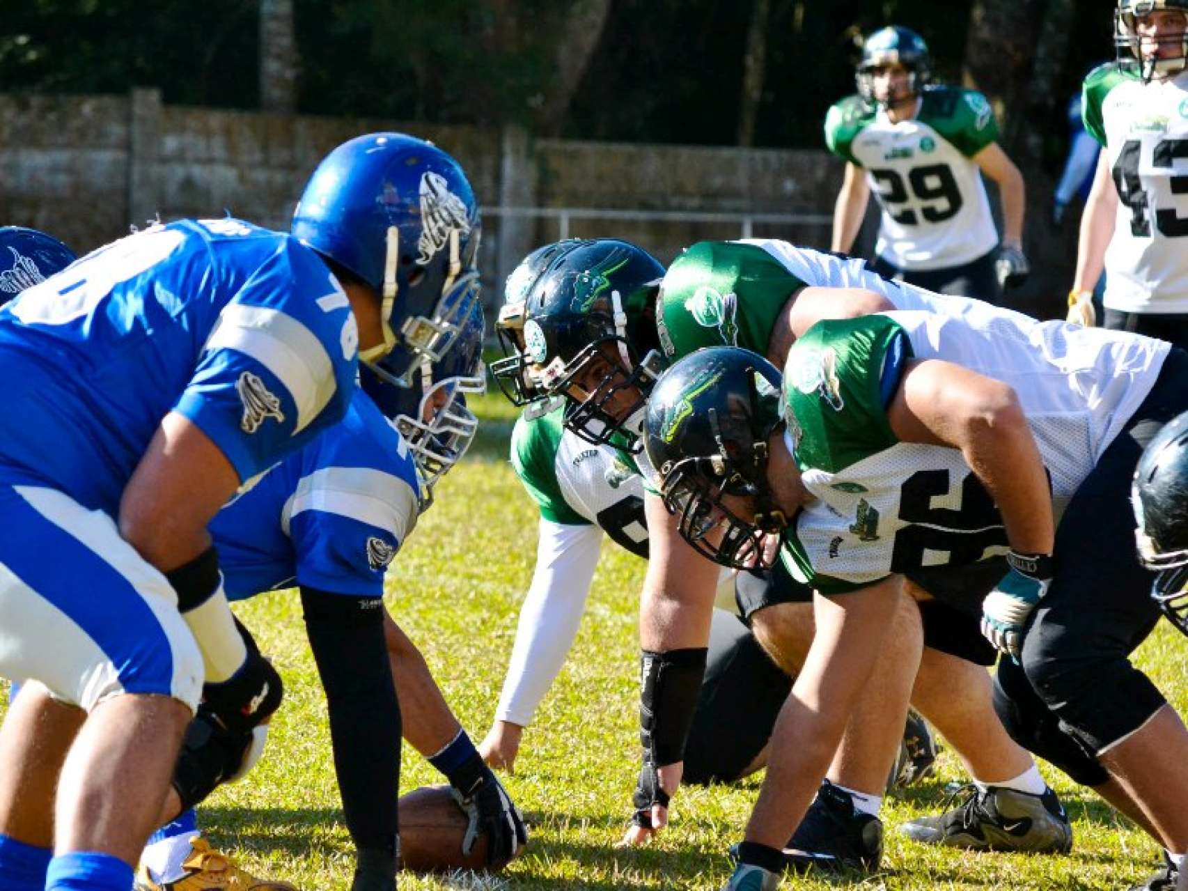 Crocodiles tem jogo no pr�ximo s�bado