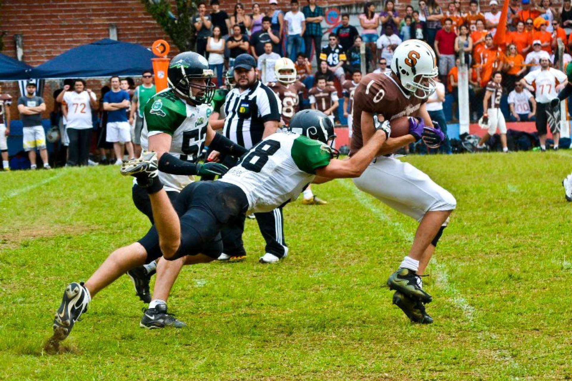 Crocodiles na final da Confer�ncia Sul