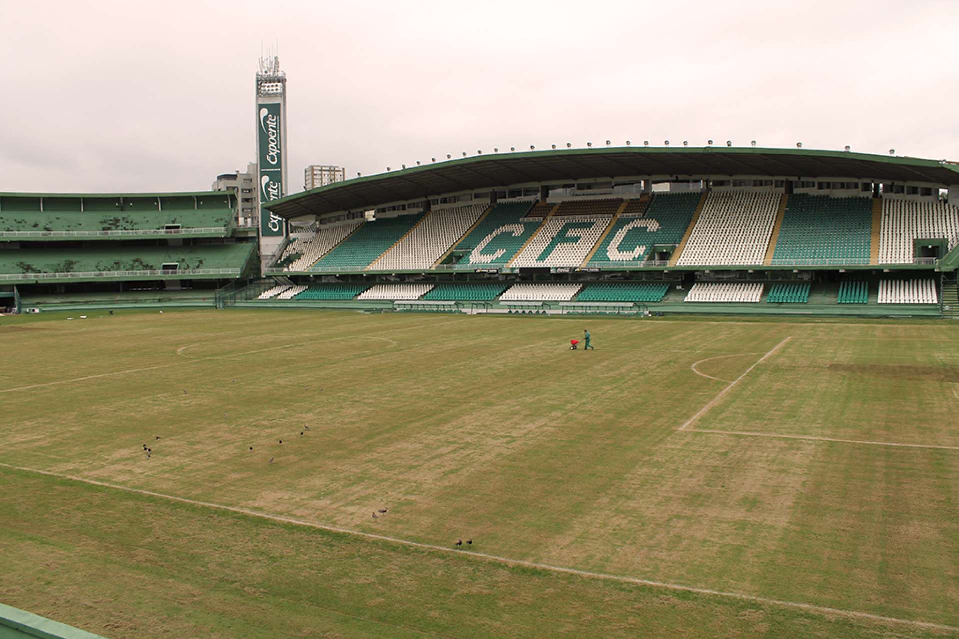 Cuidado especial com o gramado