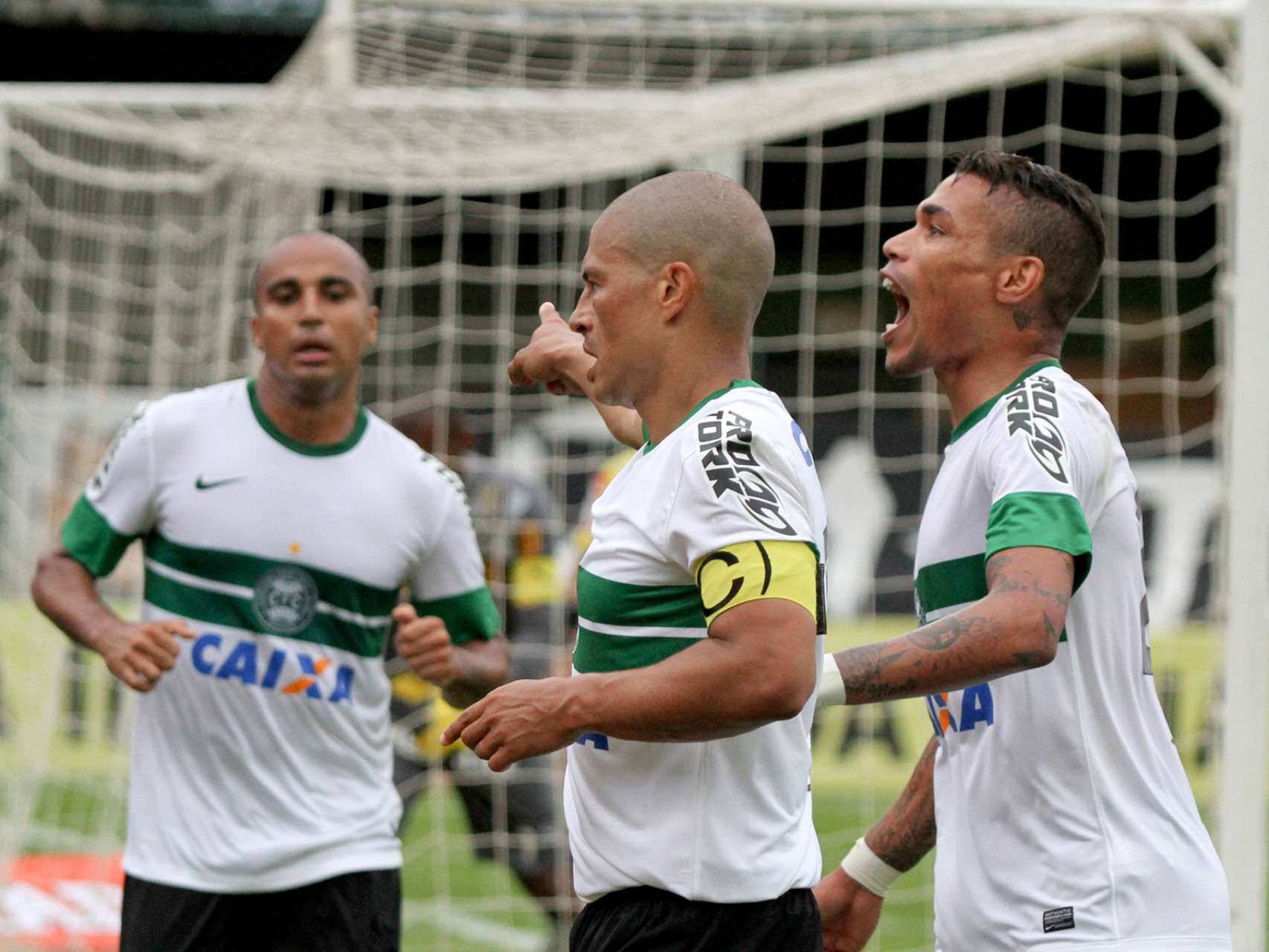 Galeria Coxa
