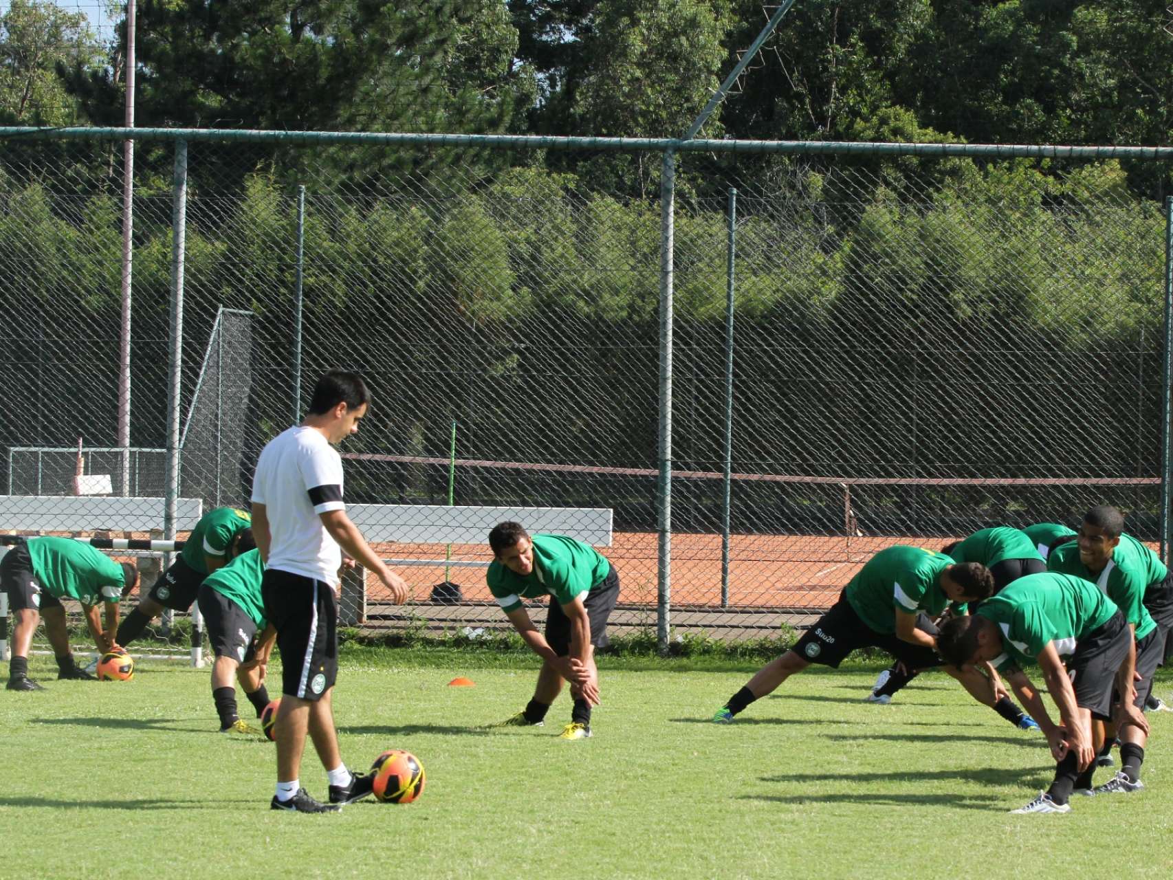 Em busca da classifica��o